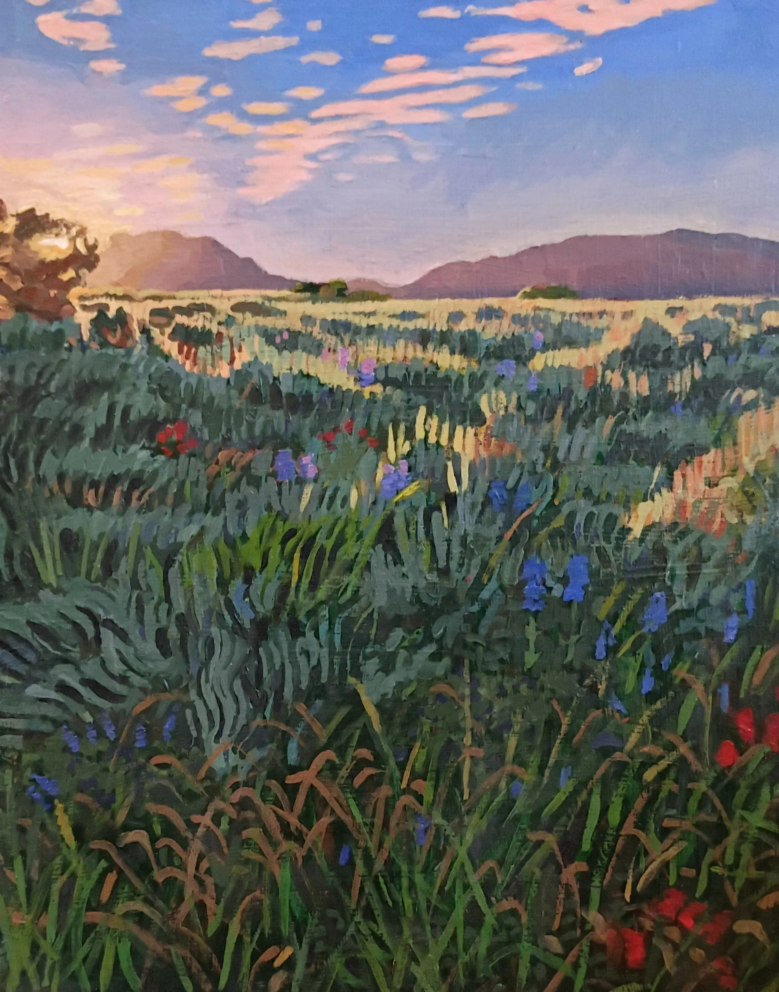 "Foothills Sunrise II"