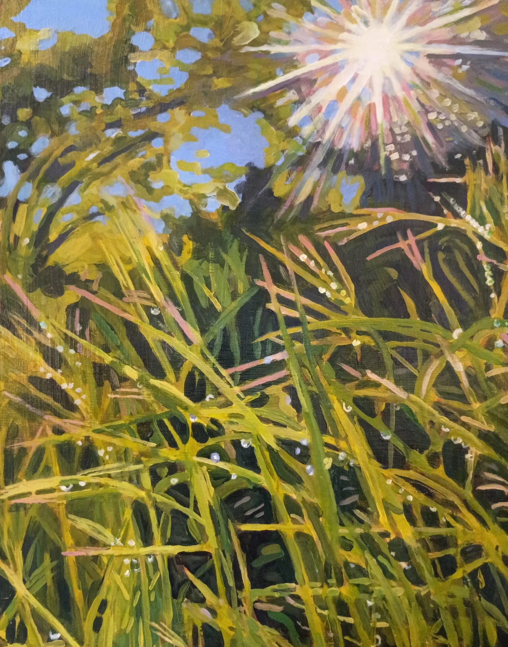 "Raindrops in Grass"
2025, Acrylic on panel, 14X11".
Another painting of the aftermath of a spring rainstorm.
