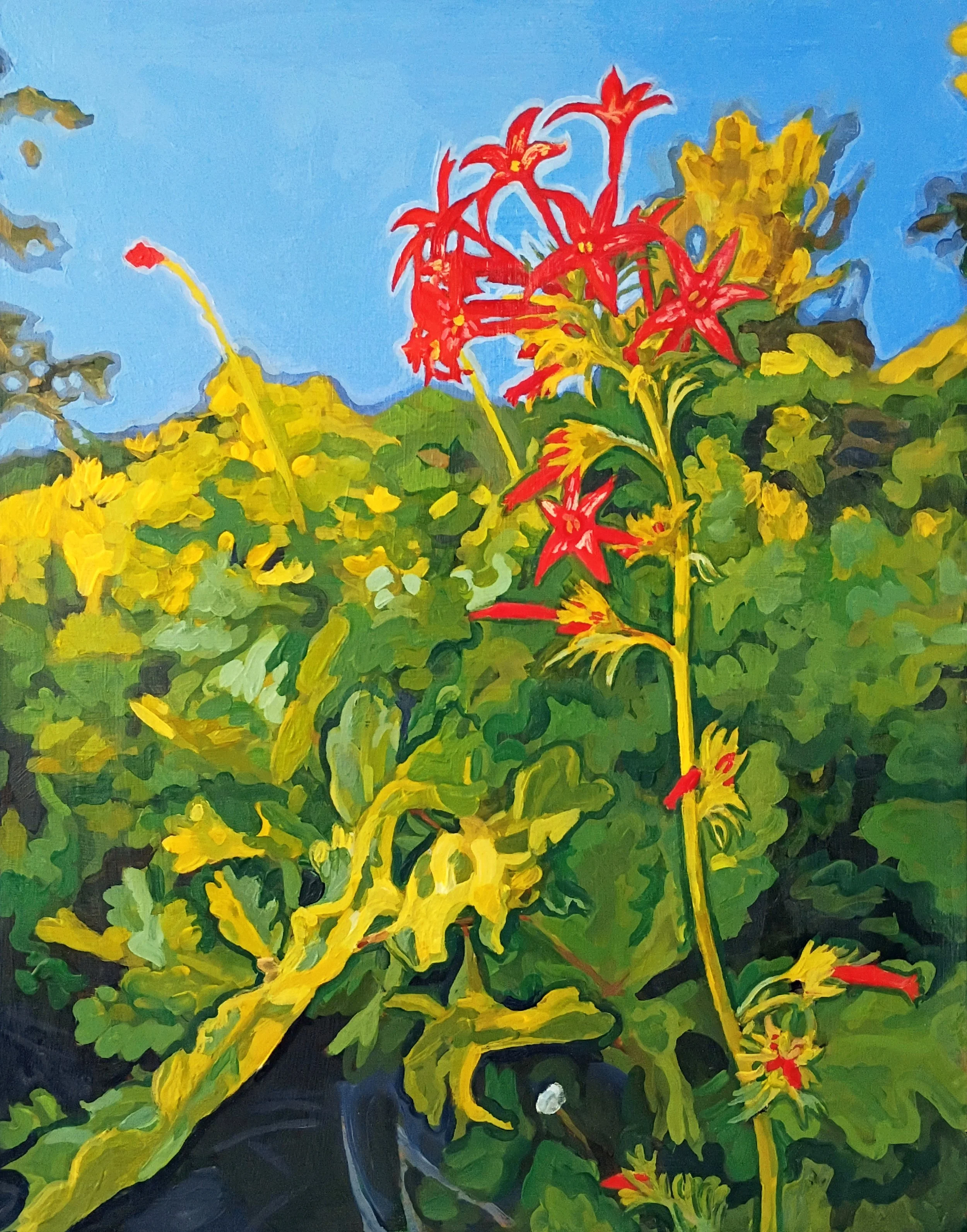 "Ipomopsis II" Prints