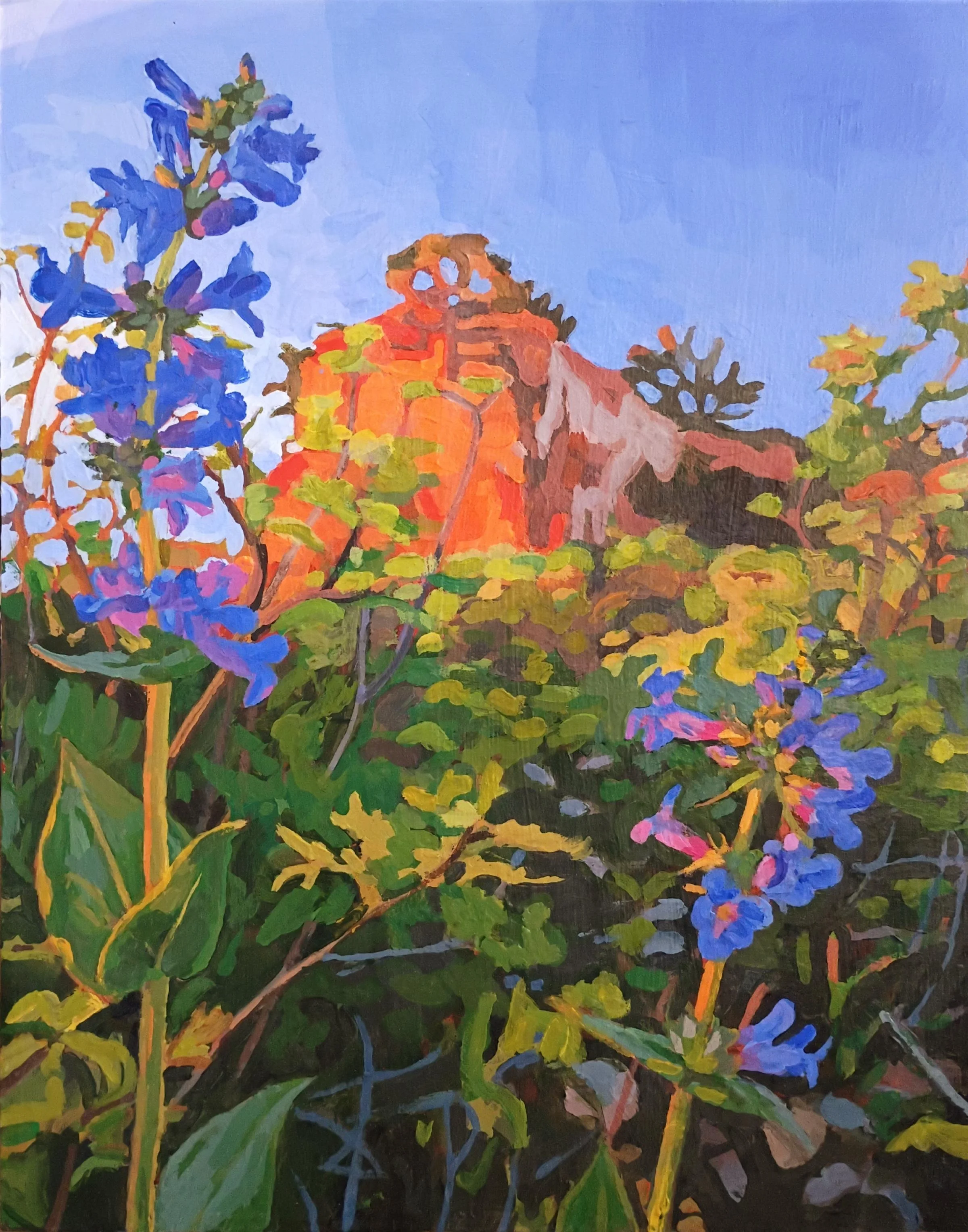 "Penstemons at Sunset" (SOLD)
2025, 14X11" acrylic on panel.