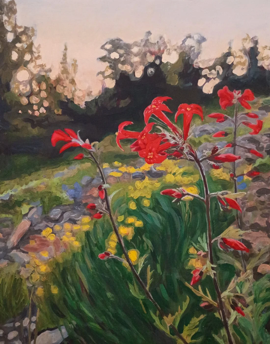 "Ipomopsis III"
2026, Bio-acrylic and acrylic on panel, 20X16".
The third in a series of paintings of scarlet gillia flowers. 