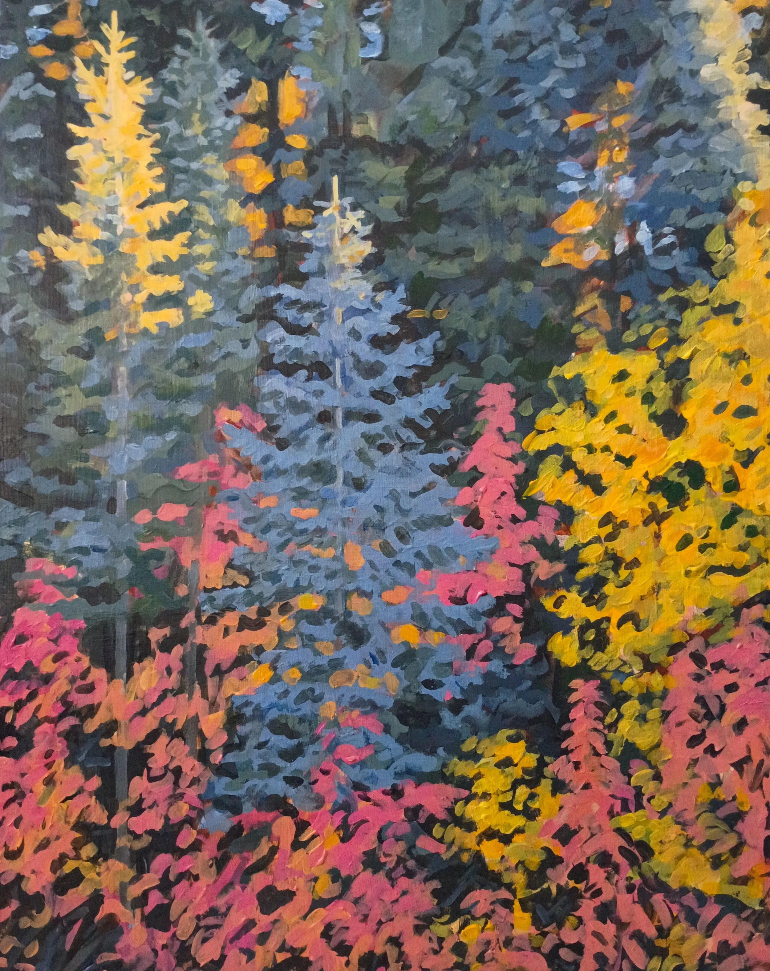 "Conifers and Fall Foliage" Prints