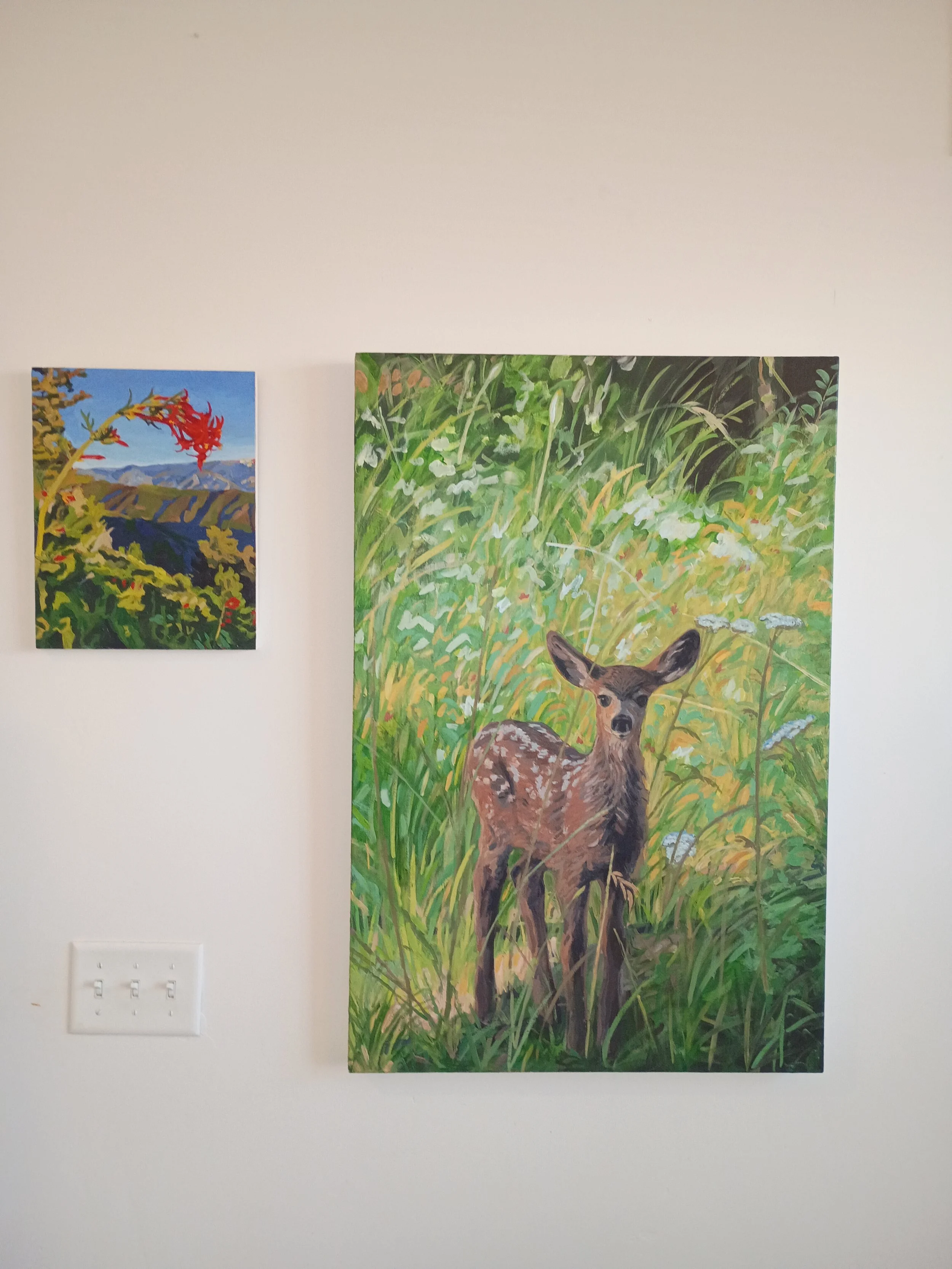 IMG_20260213_164833567 (1).jpg