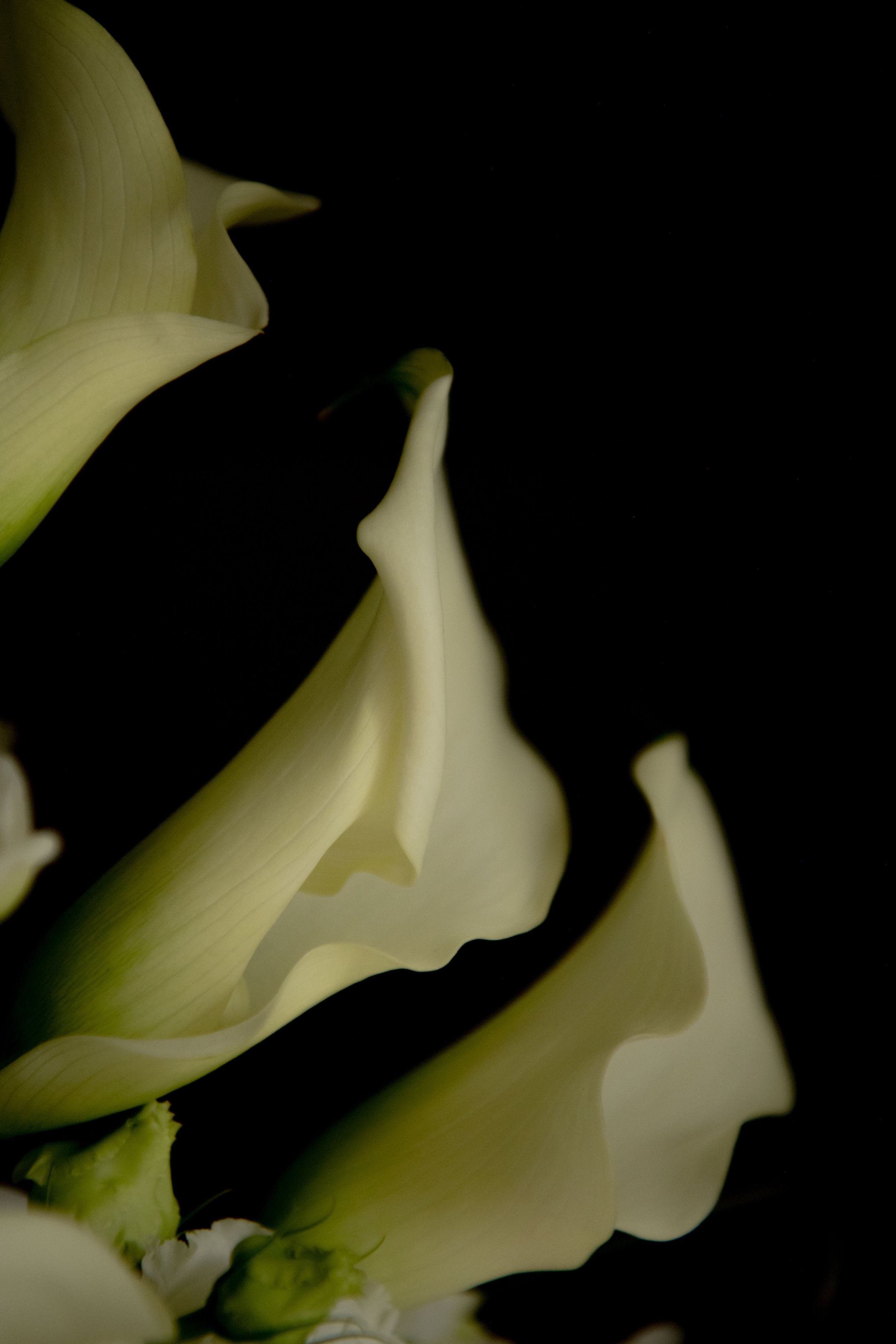 WGP_4042.jpg