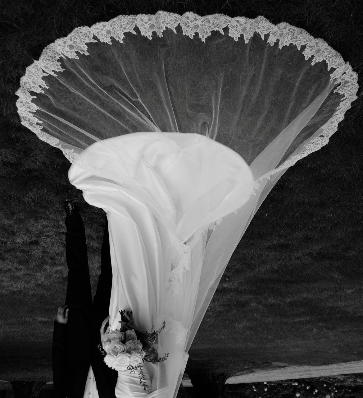 BENG5522 1 Large.jpeg