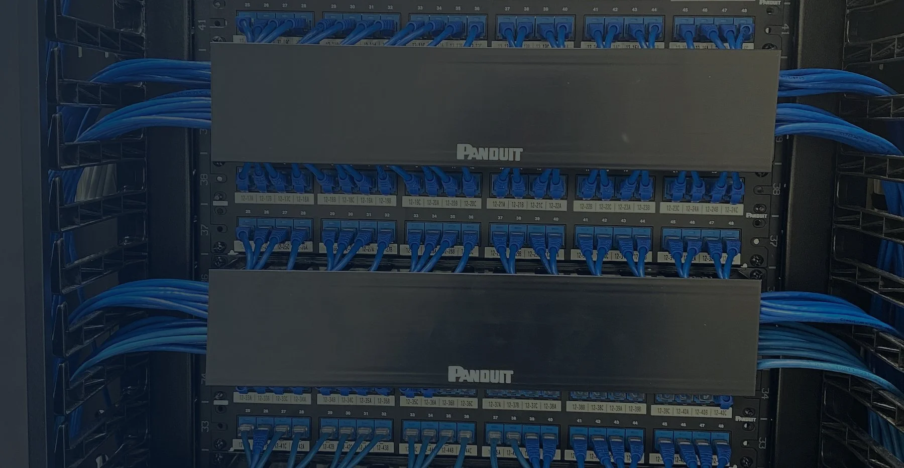 Panduit patch panels with dressed blue Cat6 patching in a network rack