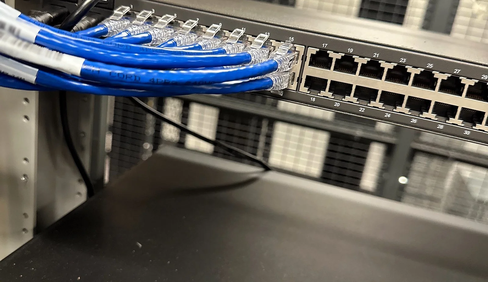 Access switch with blue Cat6 patching in a network rack