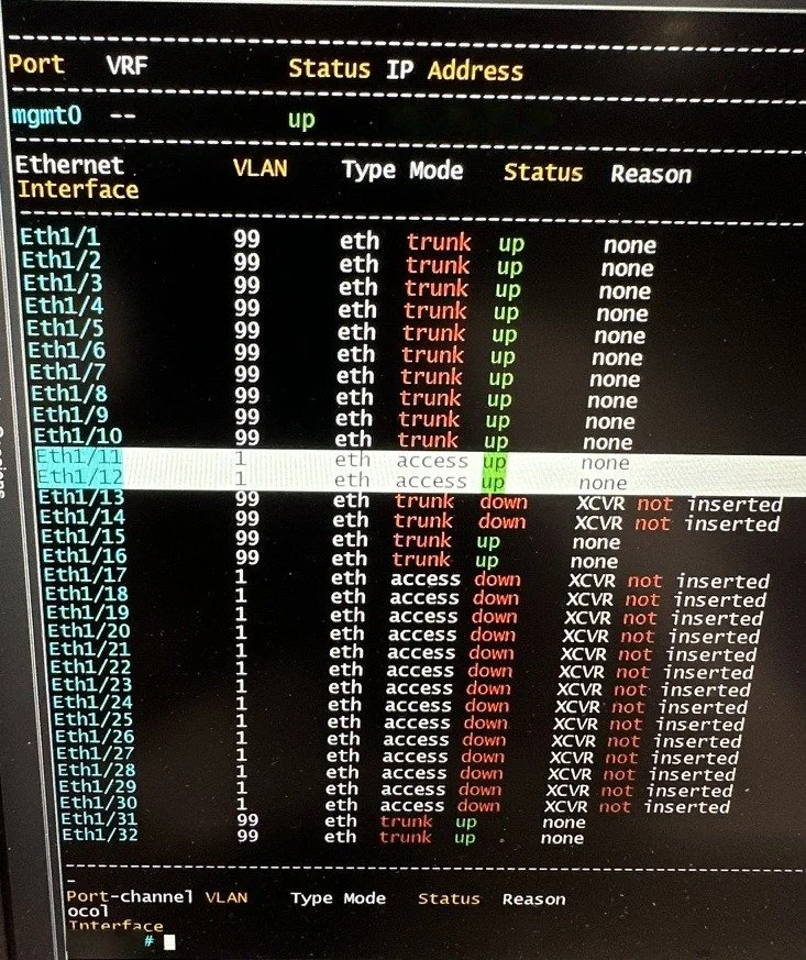 Switch CLI output showing VLAN trunk and access port status