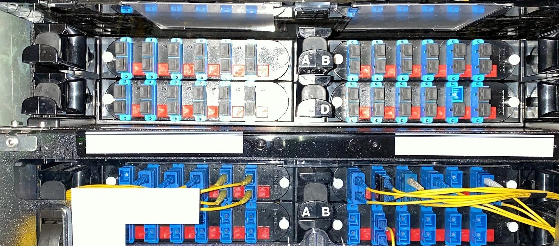 Patch panels and network gear lit up in a rack