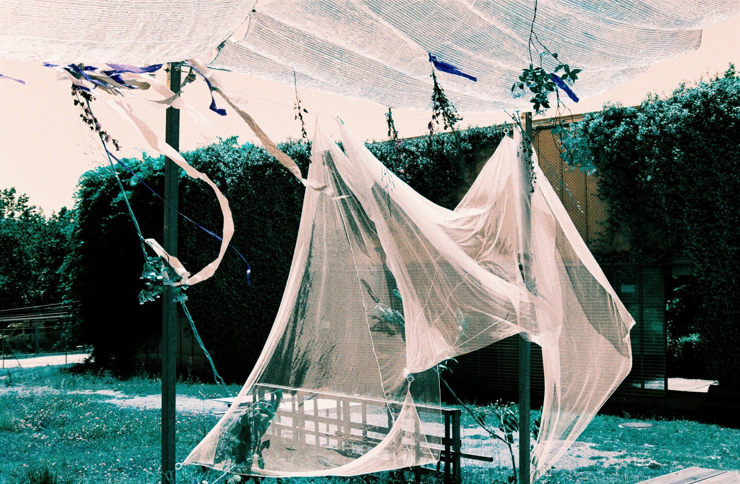 000026 (2026_02_28 16_42_08 UTC).JPG