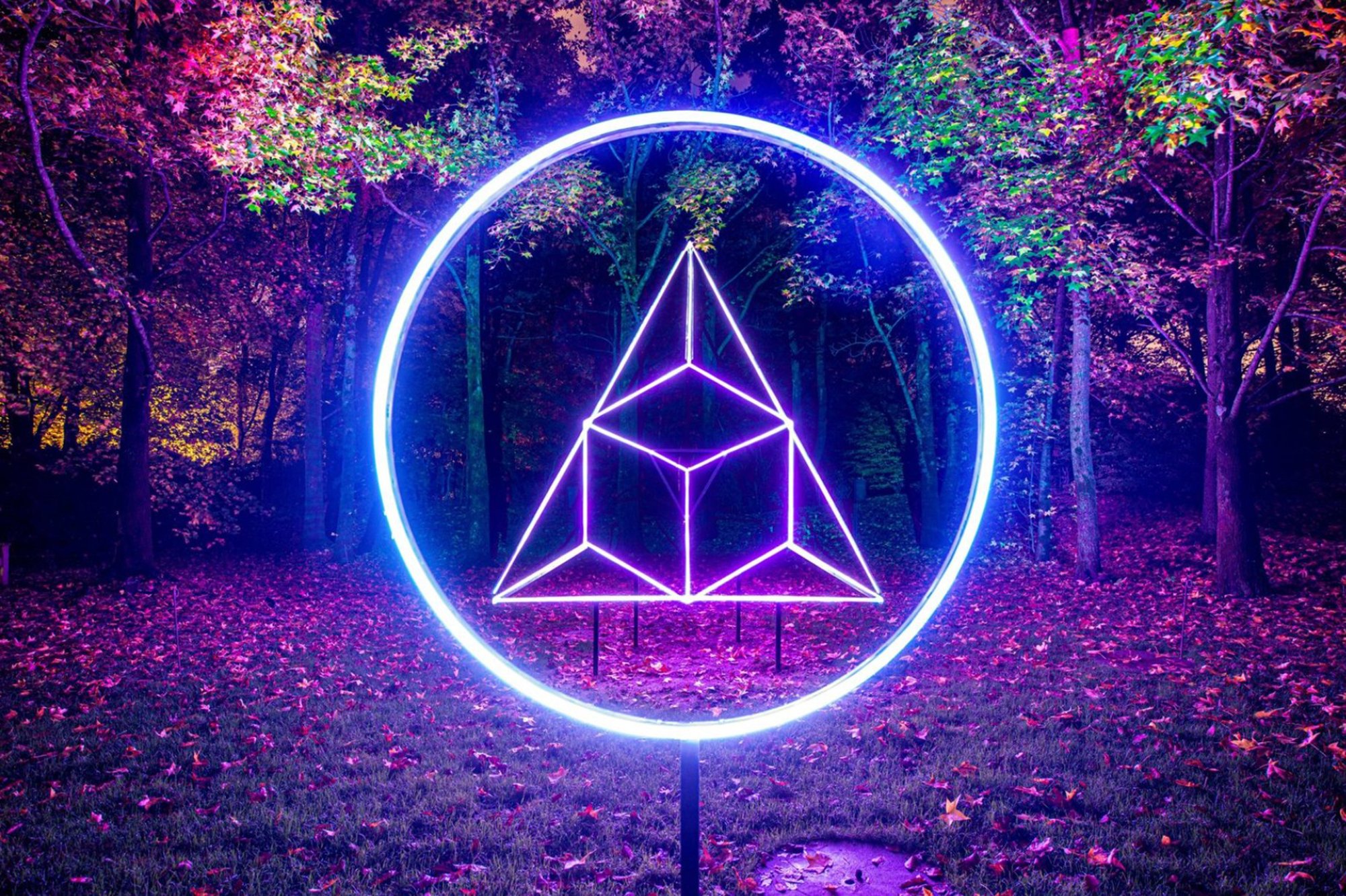 Night Forms, Klip Collective. Grounds for Sculpture (2022-2024)