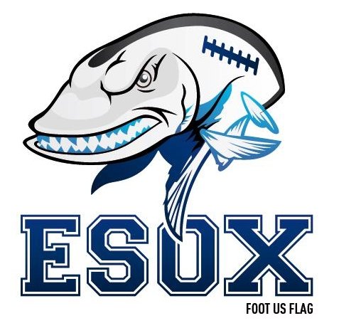 Logo d'un requin avec une échelle dorsal, avec le texte 'ESOX' en dessous. Partenaire du Groupe YPA.