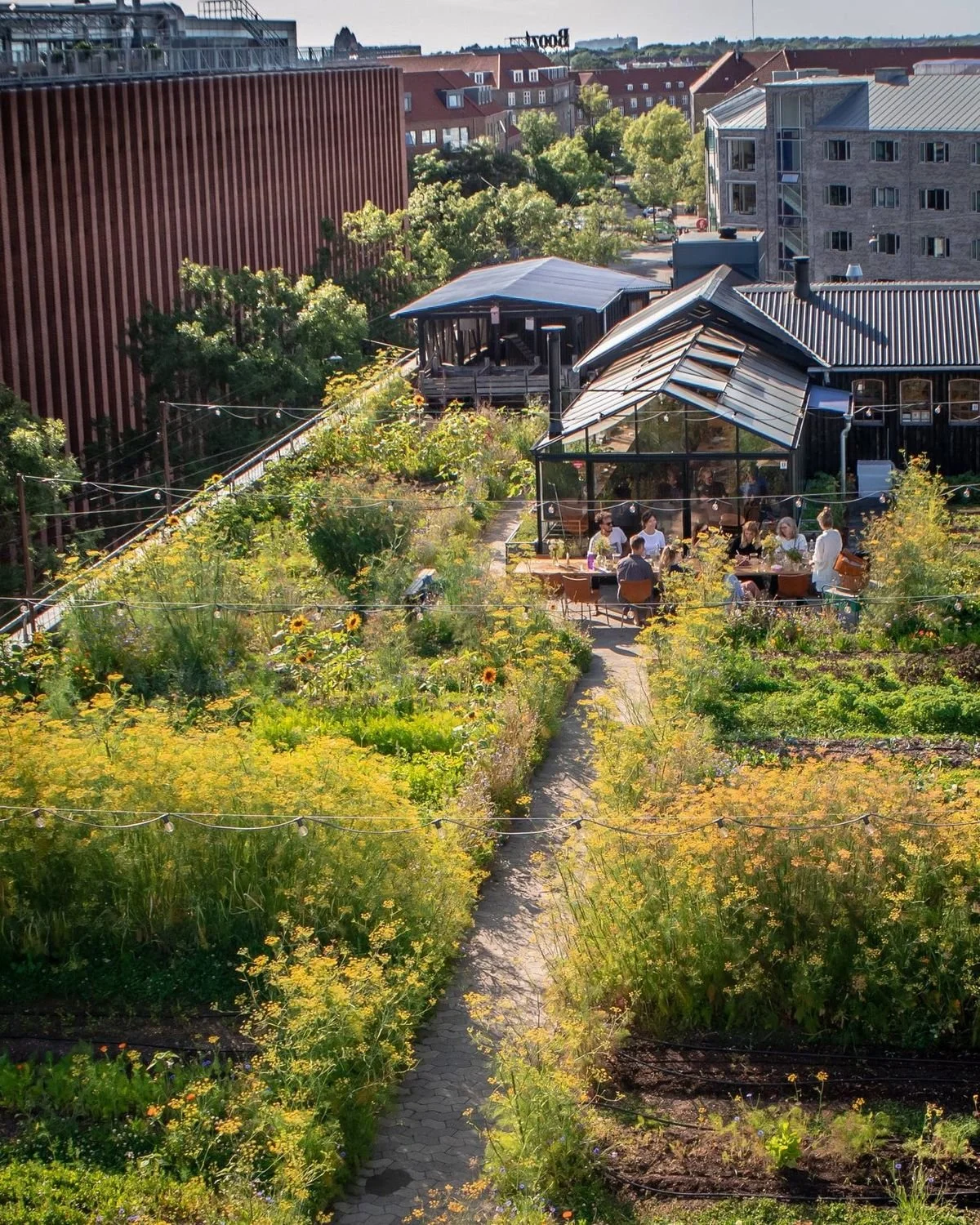 Een daktuin met een groep mensen die buiten eten onder een glazen en metalen overkapping, omgeven door diverse planten en bloemen, met gebouwen op de achtergrond.