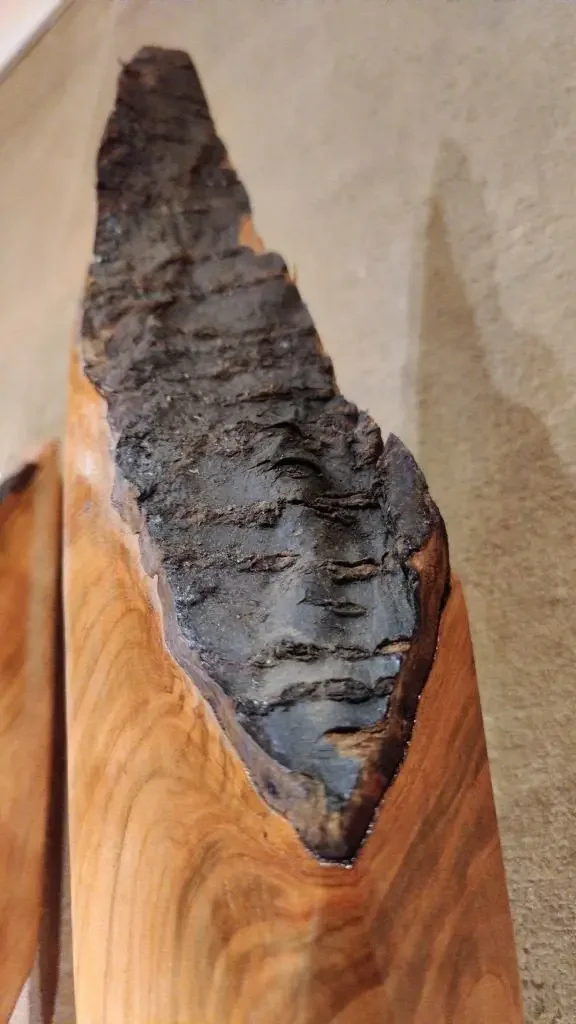 Ein Stück Holz mit einer rauen, schwarzen, verkohlten Oberfläche und einer glatten, hellbraunen Seite.