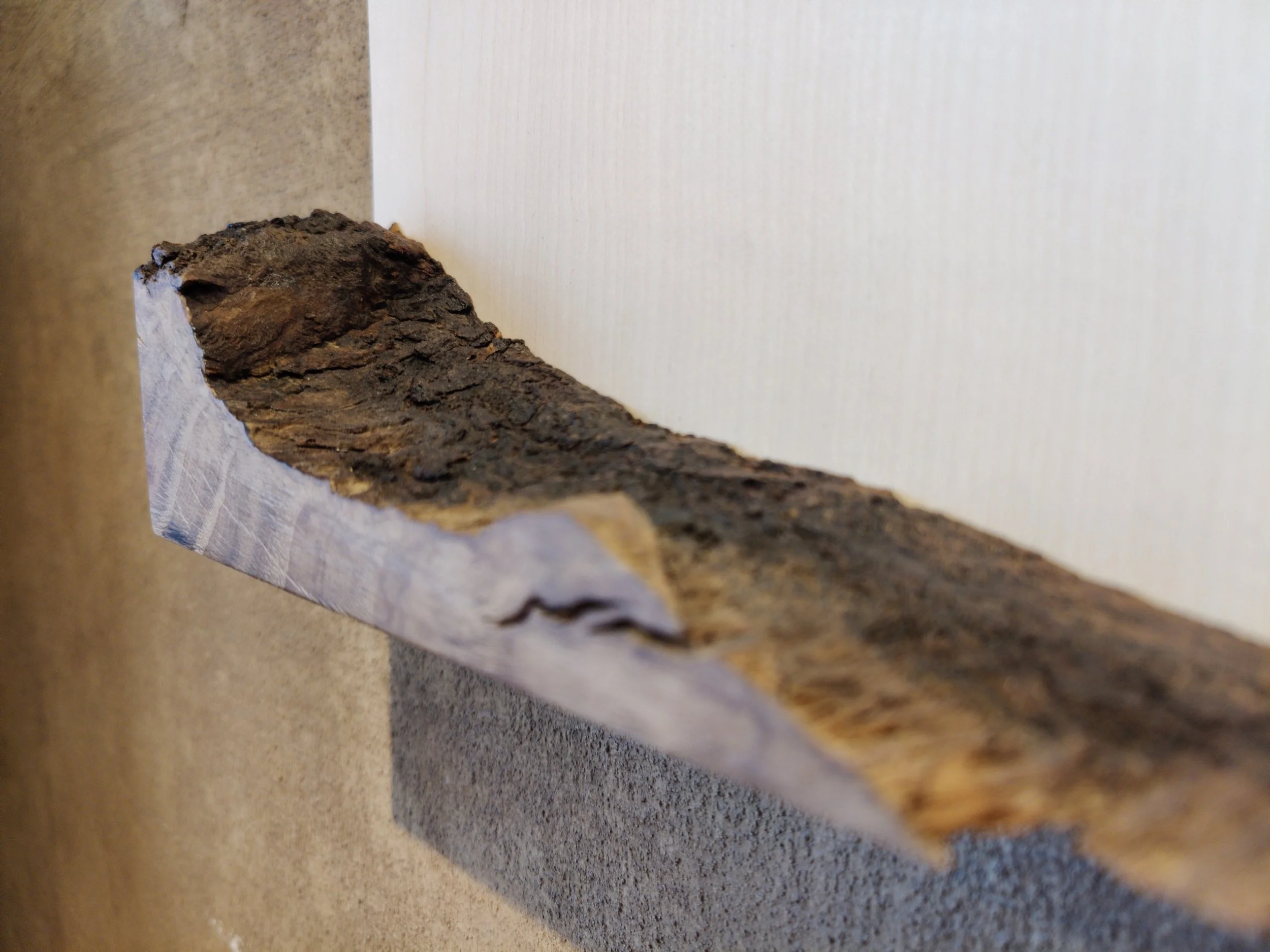 Ein Holzbalken mit abgeplatzer, roher Oberfläche, auf grauem Untergrund liegend.