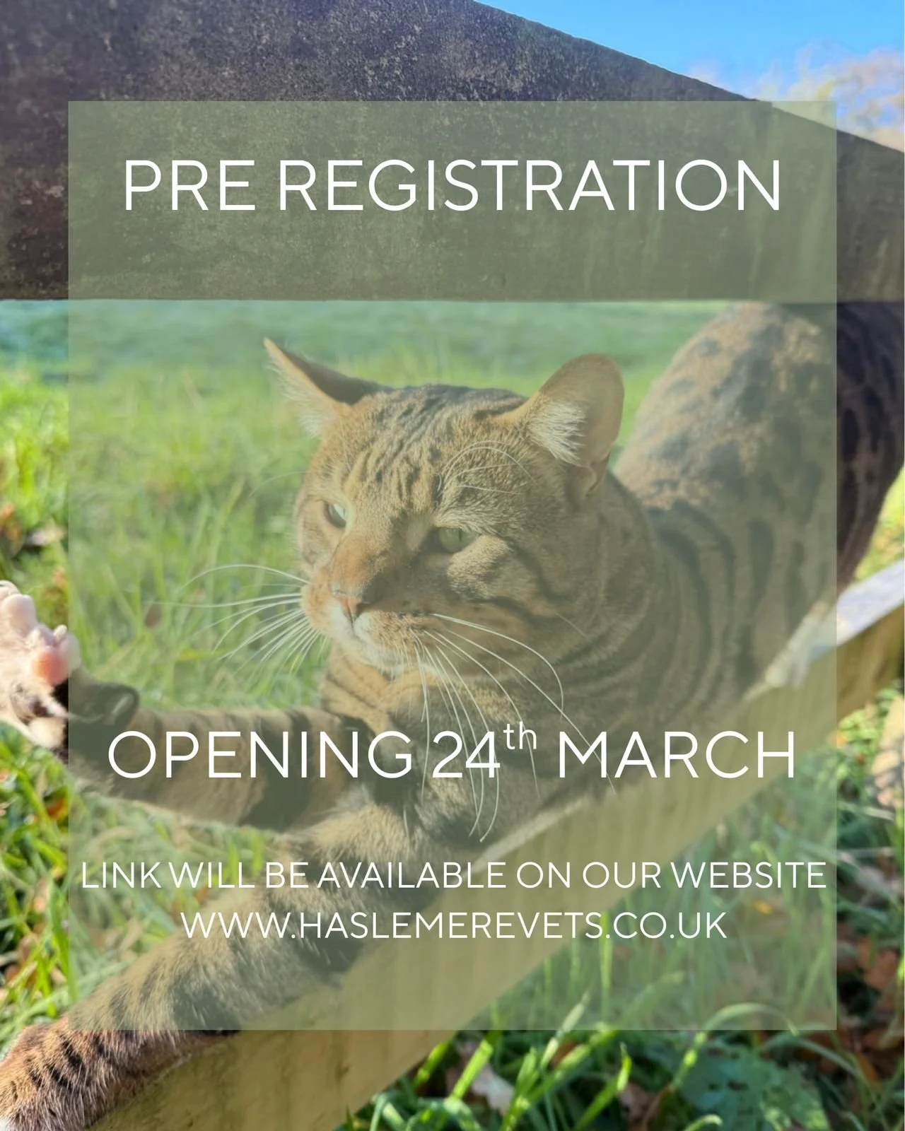 🐾 Pre-registration for Haslemere Vets opens 24th March.
Be among the first to join our practice and stay updated ahead of our official opening. We can&rsquo;t wait to meet you and your pets! 🐶🐱
📅 Mark your calendars: 24th March