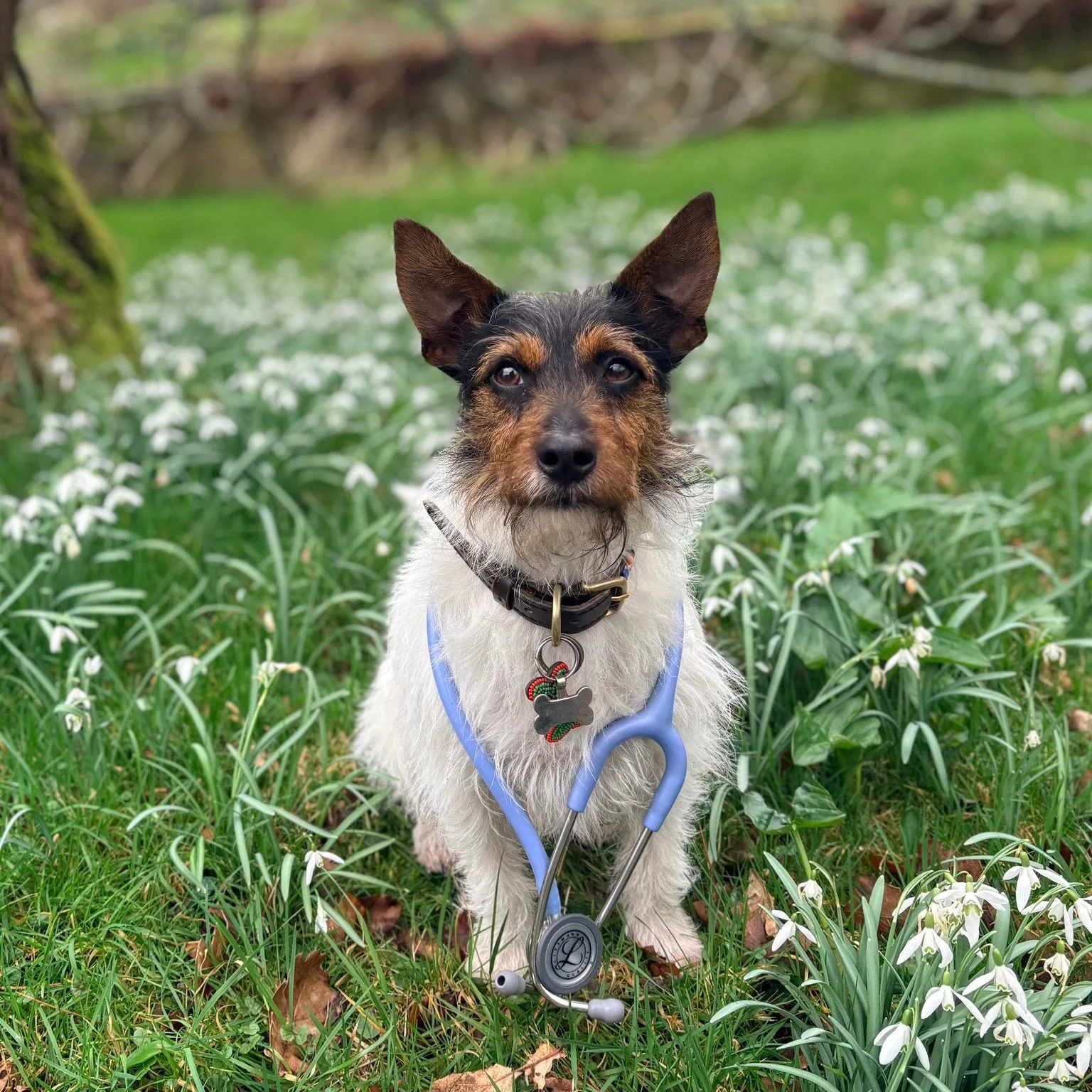Our building renovation is progressing well and we now expect our opening to be the end of April. We will be opening pre-registration towards the end of March and will publish our health care plans in the coming weeks. We will do a prospective client