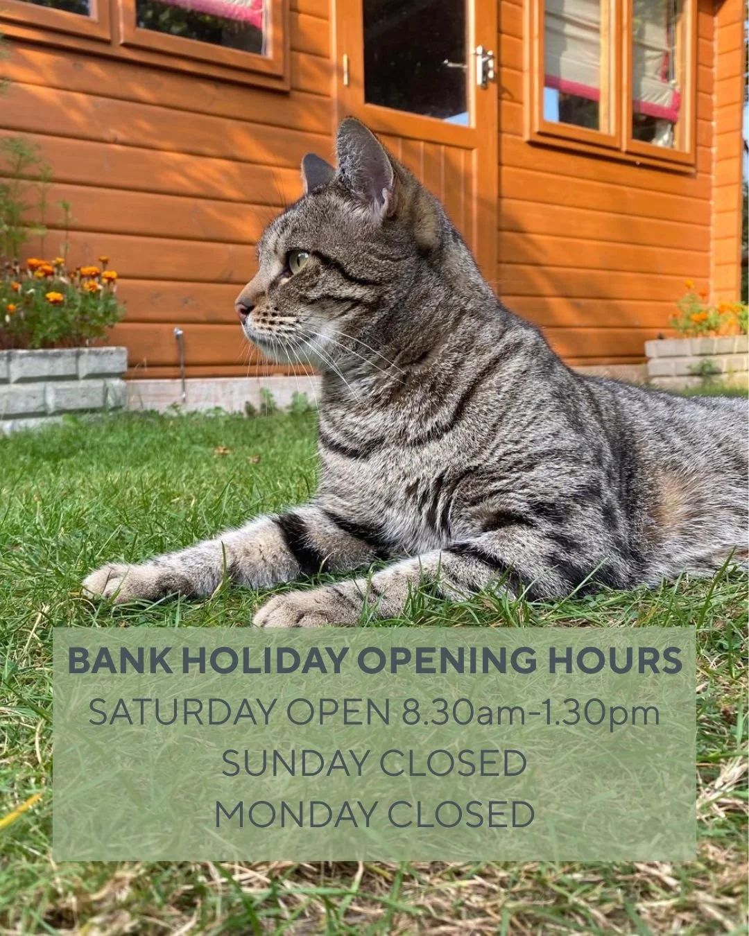Wishing everyone a lovely bank holiday weekend 🐾
We hope you can enjoy the break without needing to see us, but if you do, we&rsquo;ll be open tomorrow until 1:30pm. After this time, any emergencies should be directed to St Peters until we reopen on