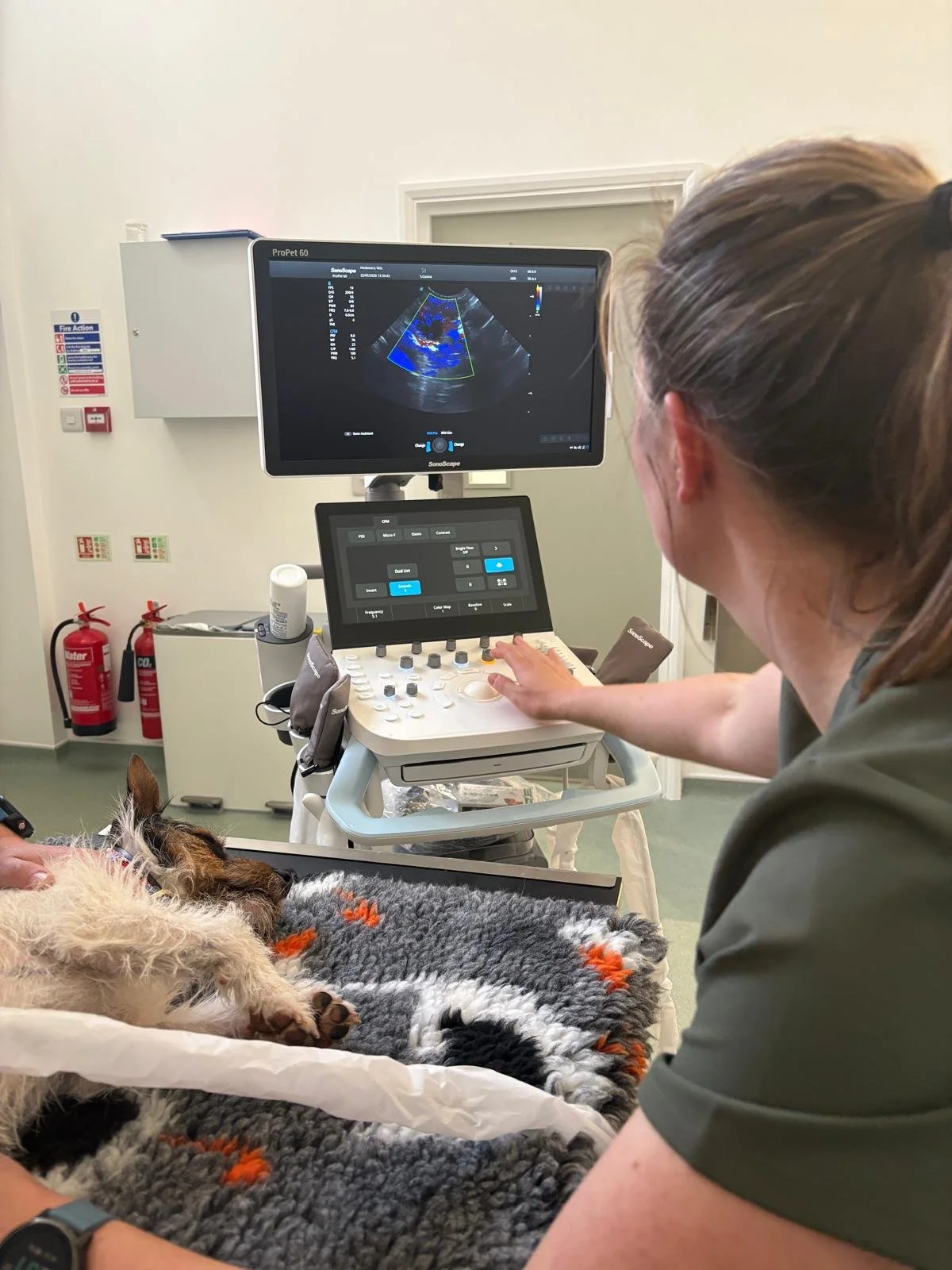 Practice Tour 🐾 | Imaging 🩻
Our dedicated imaging room is equipped with brand new digital x-ray and ultrasound machine, while our dental suite also includes dental x-ray - allowing us to diagnose a wide range of conditions efficiently and safely. F