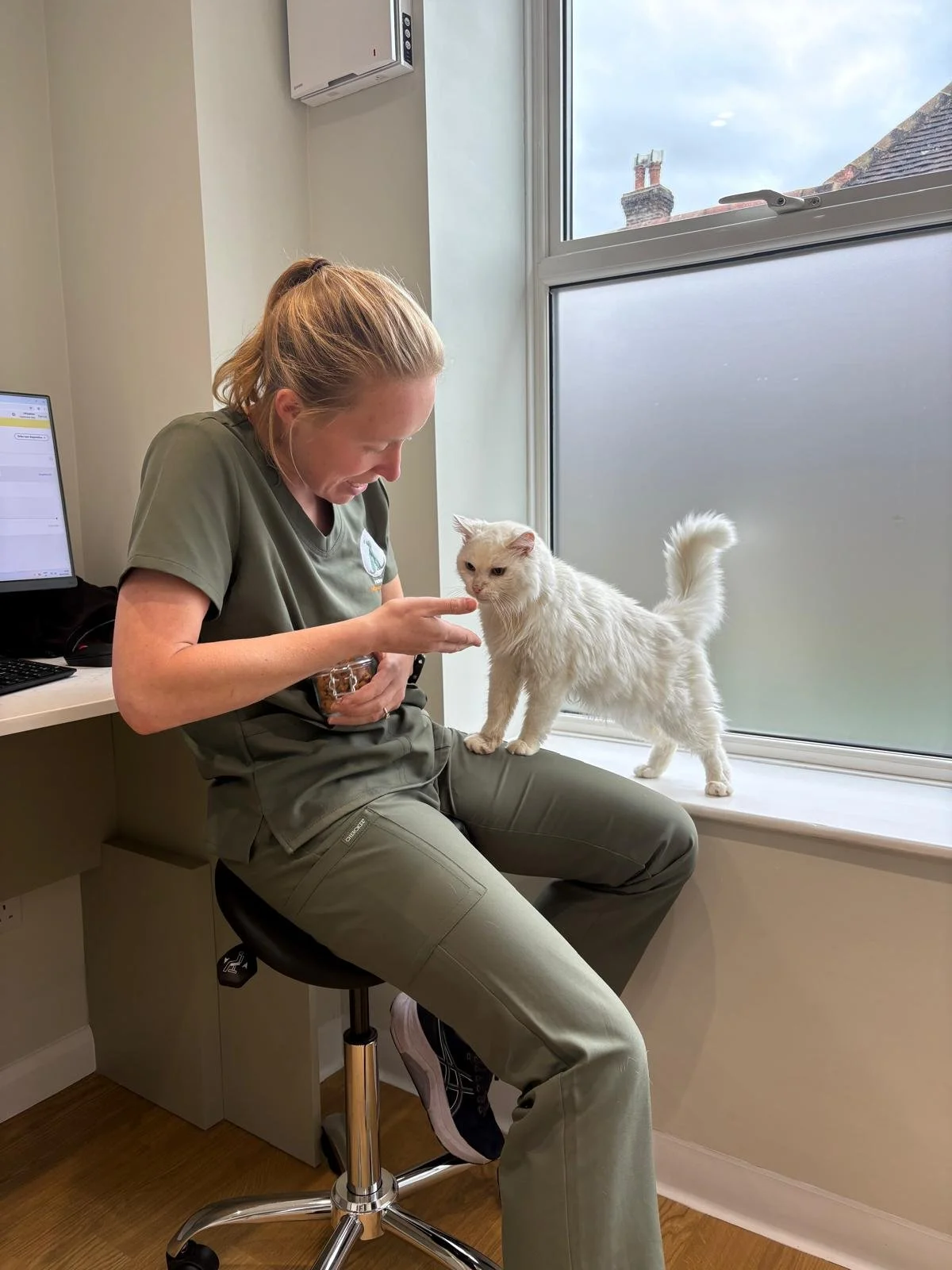 Meet Gary 🐾
Gary recently came to see us after his owners noticed that he was ravenously hungry but continuing to lose weight. Following some investigations, he was diagnosed with hyperthyroidism, a common condition in older cats.
The good news is t