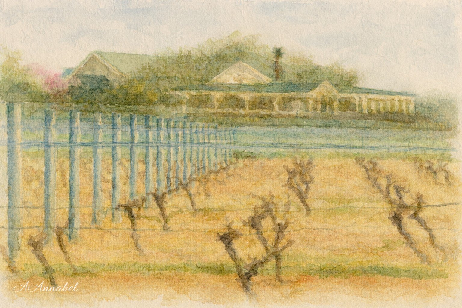 Martinborough Vineyard