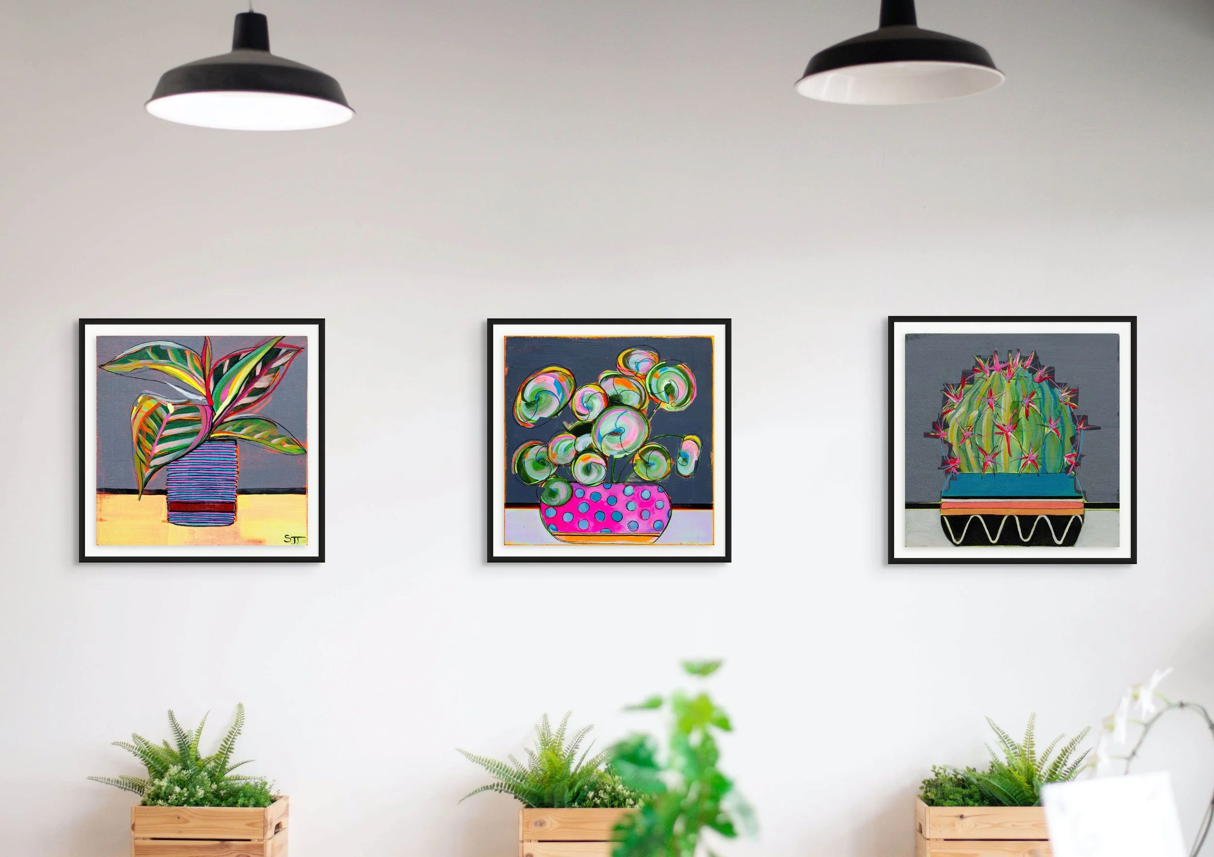3019000_3_plants_wall.jpg