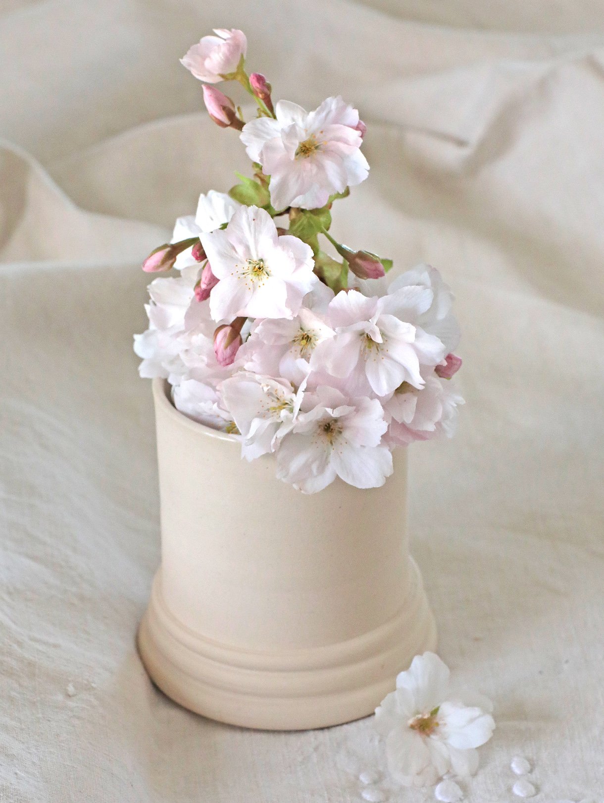 HP_Column I - _0000_Layer 7.jpg