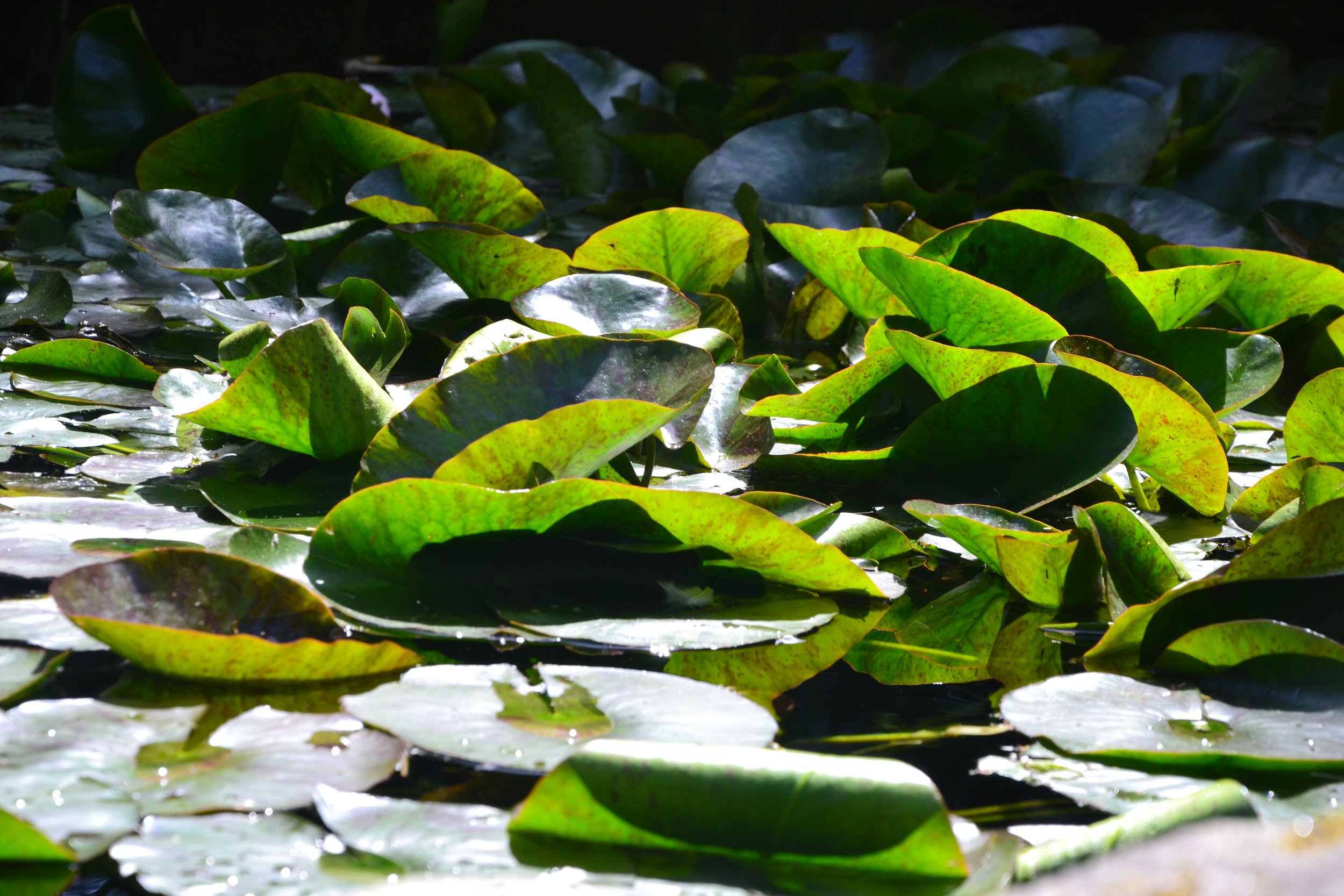 Aceptarse a una misma: qué es y qué no  es