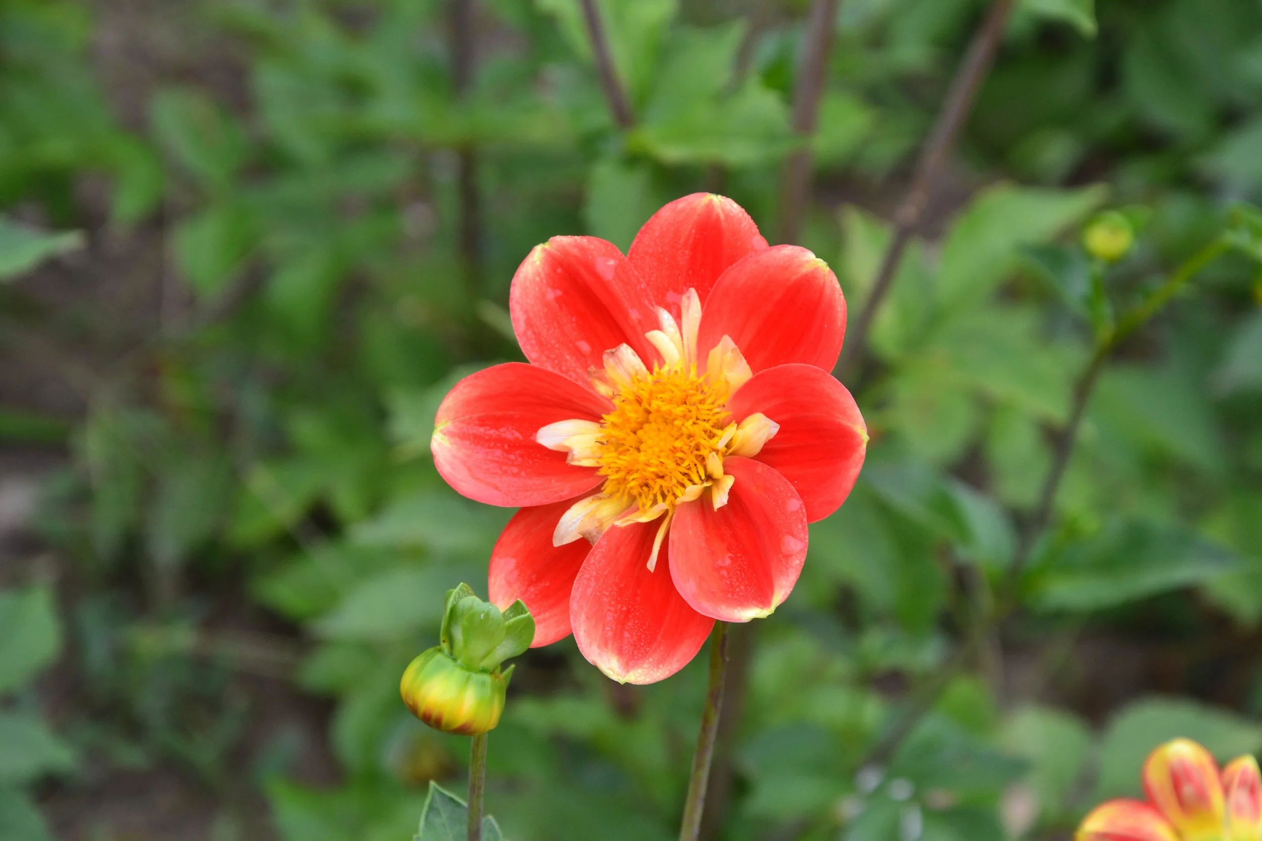 El rol del paciente en terapia: un viaje de autodescubrimiento