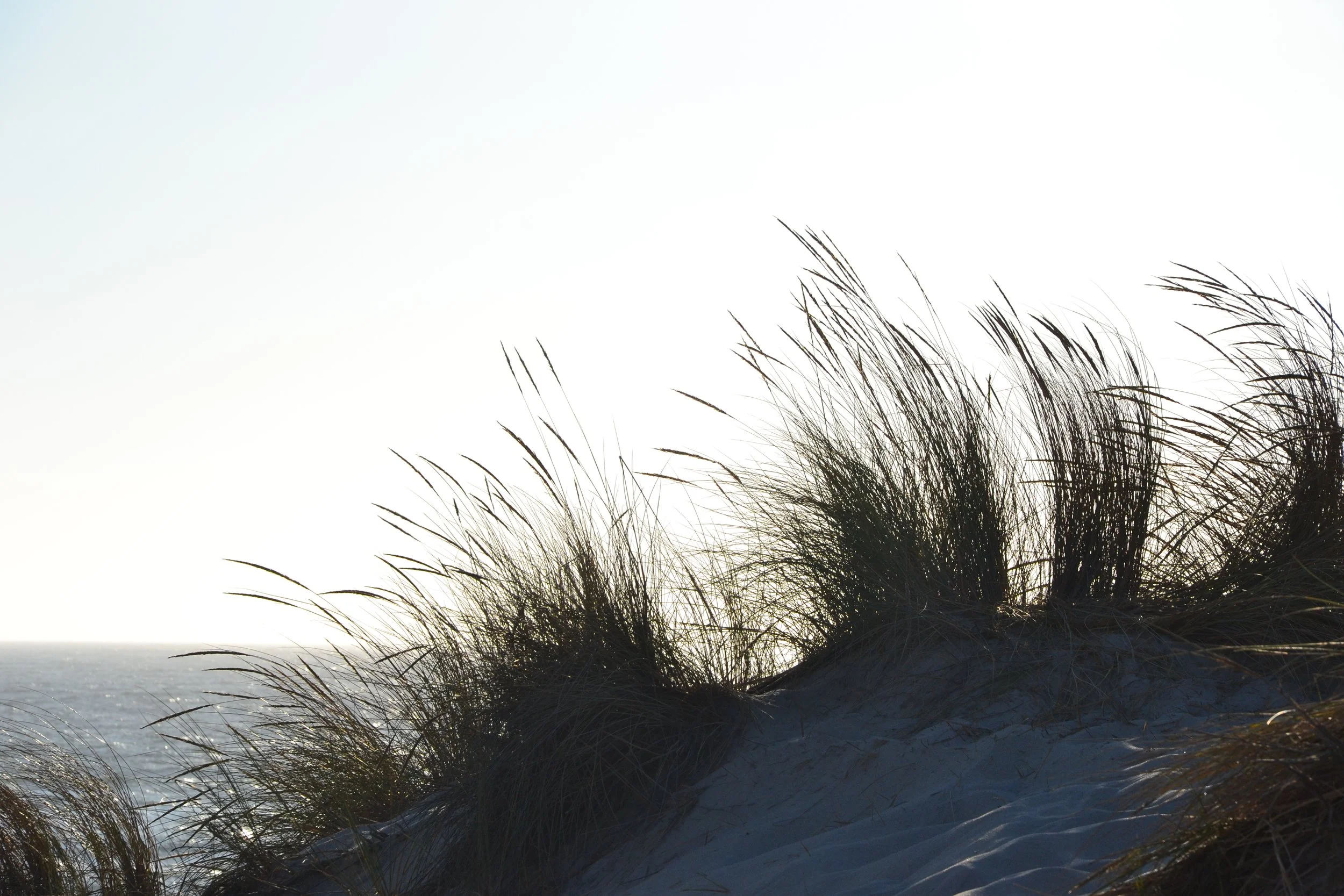 ¿Escuchas a ese intestino que se retuerce?