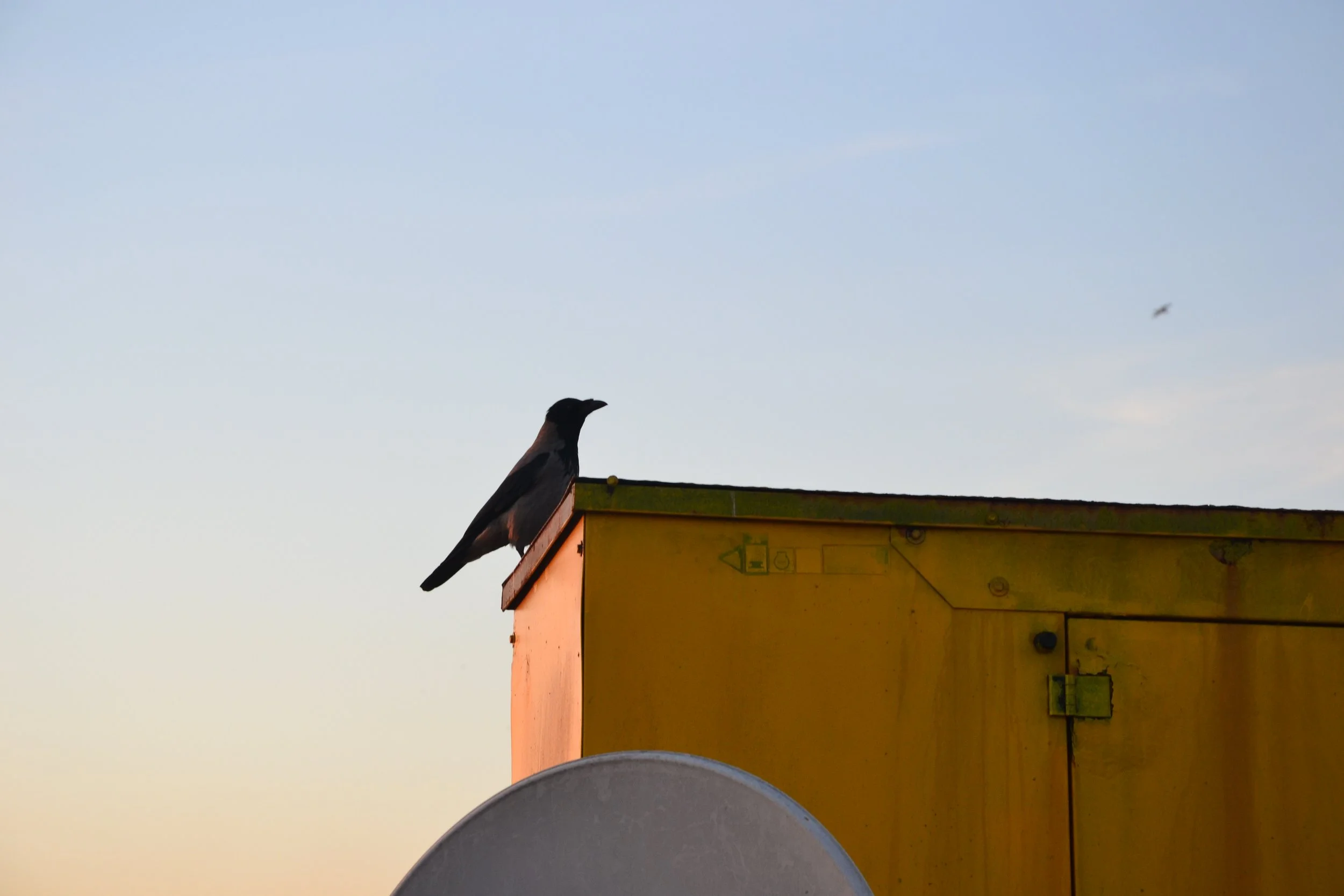 ¿Por qué la relaciones de pareja son tan complejas?
