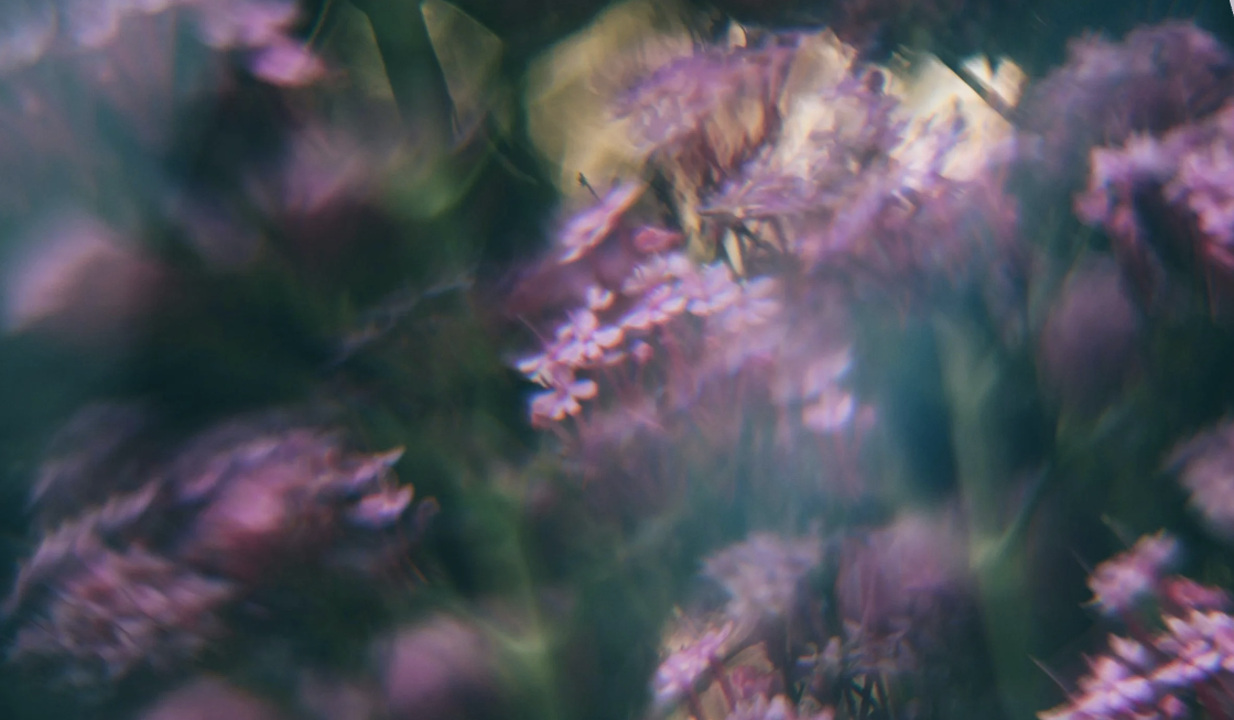 Why Talk Therapy Isn’t Enough: How Clinical Hypnotherapy Helps When You Feel Stuck (Copy)