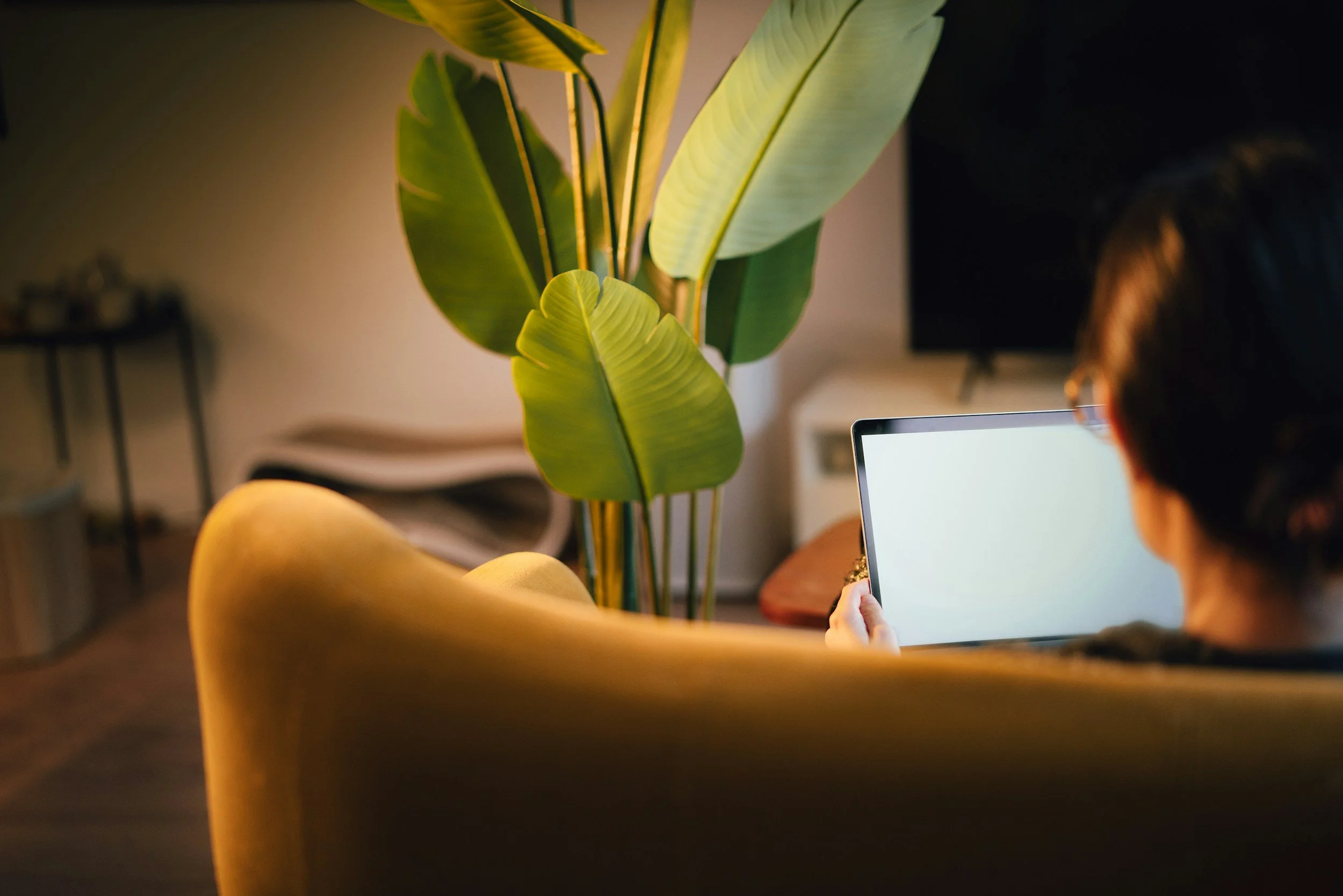 Person sitting on a yellow chair using a tablet in a dimly lit room with large green leafy plant next to them and a television in the background.