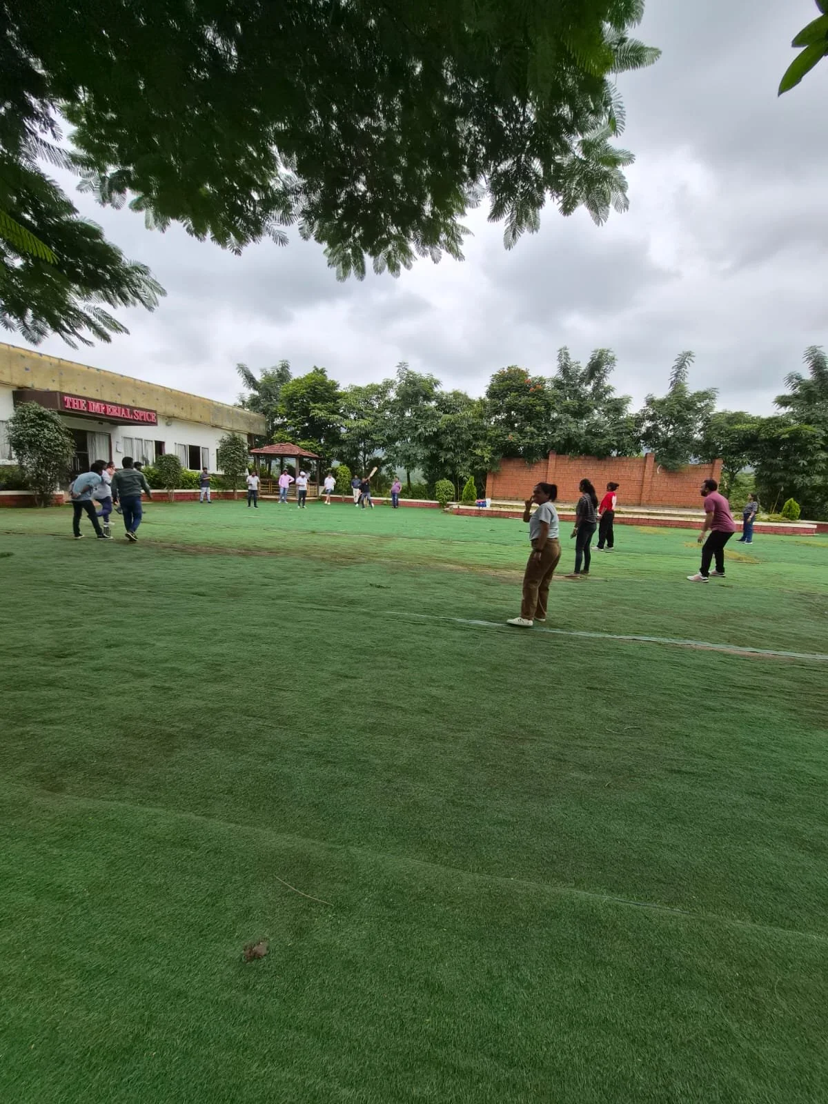 Group of people practicing yoga outdoors on a green field under cloudy sky, with trees and a building in the background.