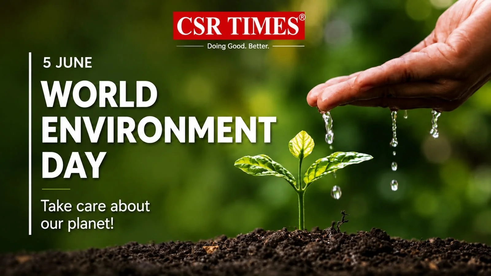 A small green plant growing in dark soil with a hand watering it, emphasizing care for the environment, promoting World Environment Day on June 5.