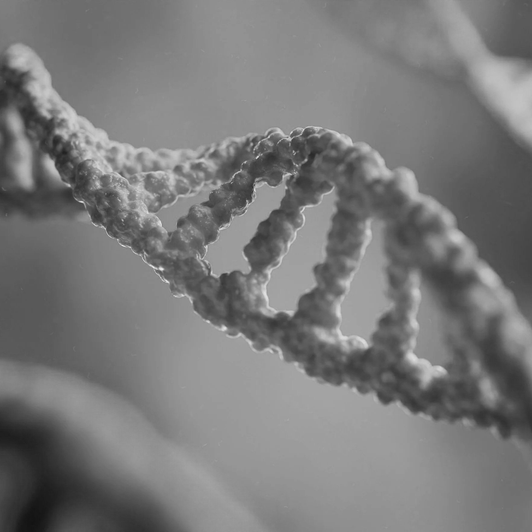 Geometric drawing of an outline square with sections divided by vertical, horizontal, and diagonal lines.