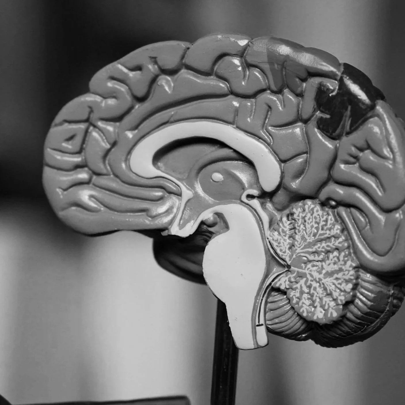 Geometric drawing of an outline square with sections divided by vertical, horizontal, and diagonal lines.