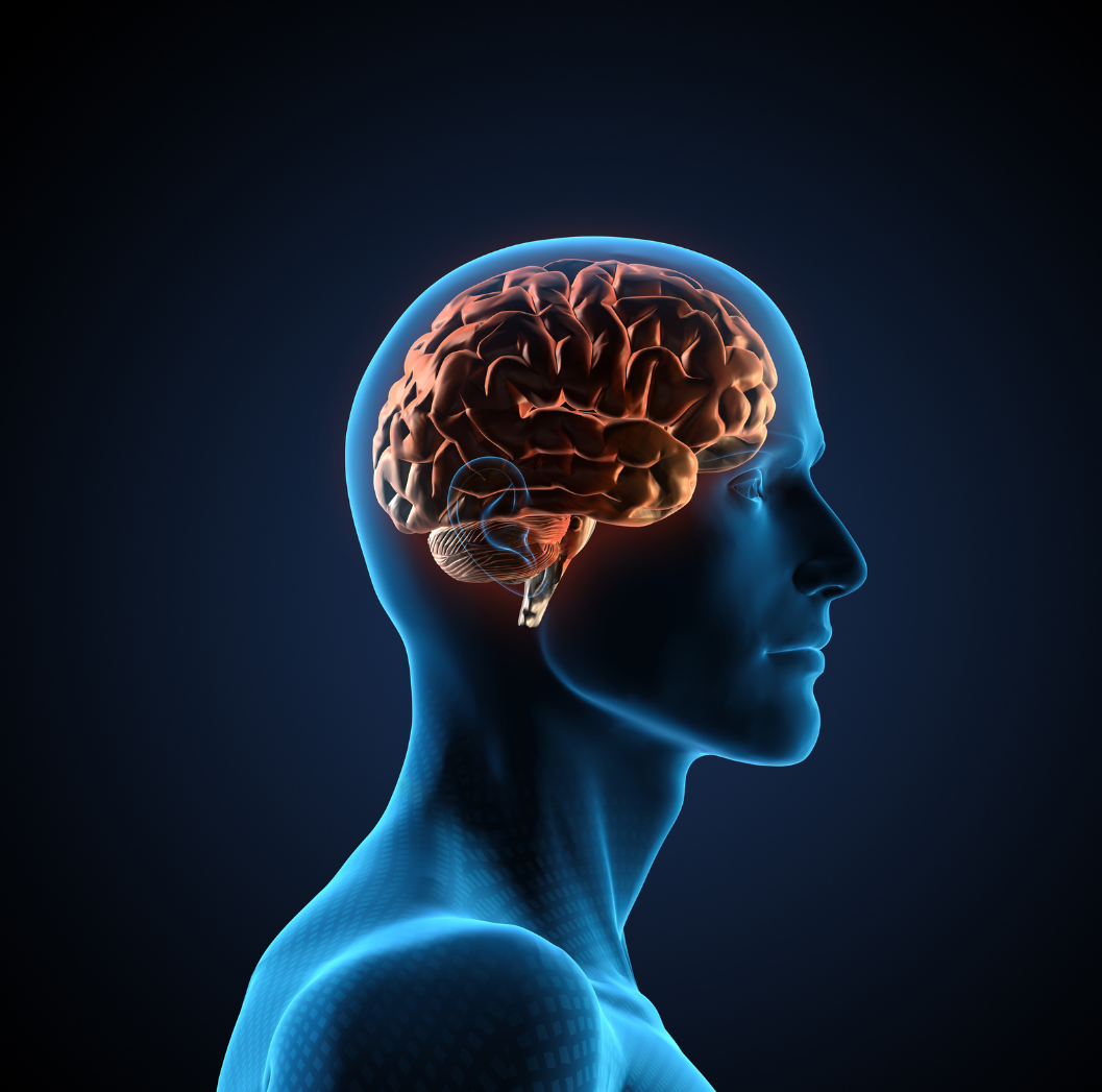 Why Your Brain Needs More Oxygen Than You Think