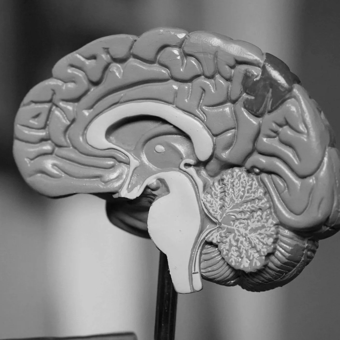 Geometric drawing of an outline square with sections divided by vertical, horizontal, and circle lines.