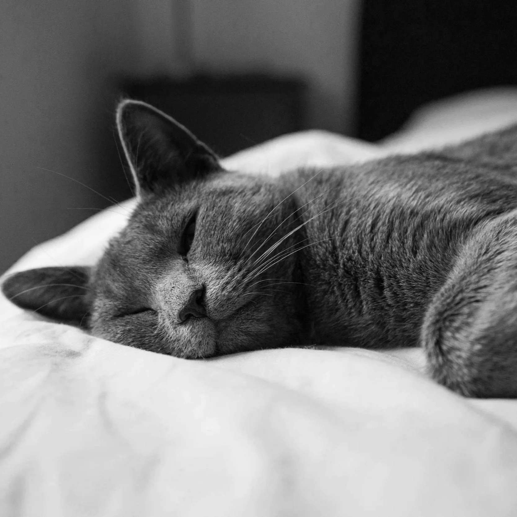 Geometric drawing of an outline square with sections divided by vertical, horizontal, and circle lines.