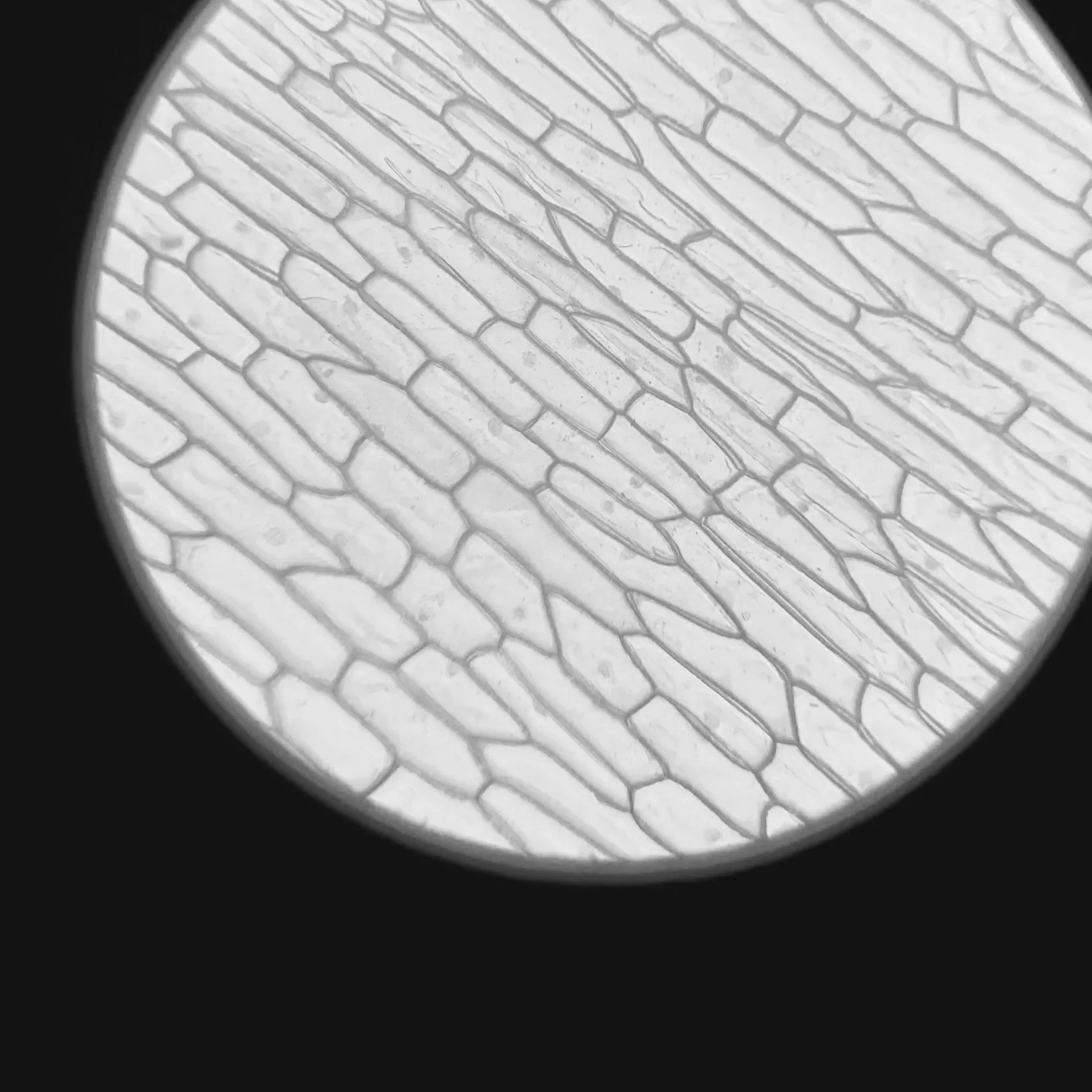 Geometric drawing of an outline square with sections divided by vertical, horizontal, and half circle lines.