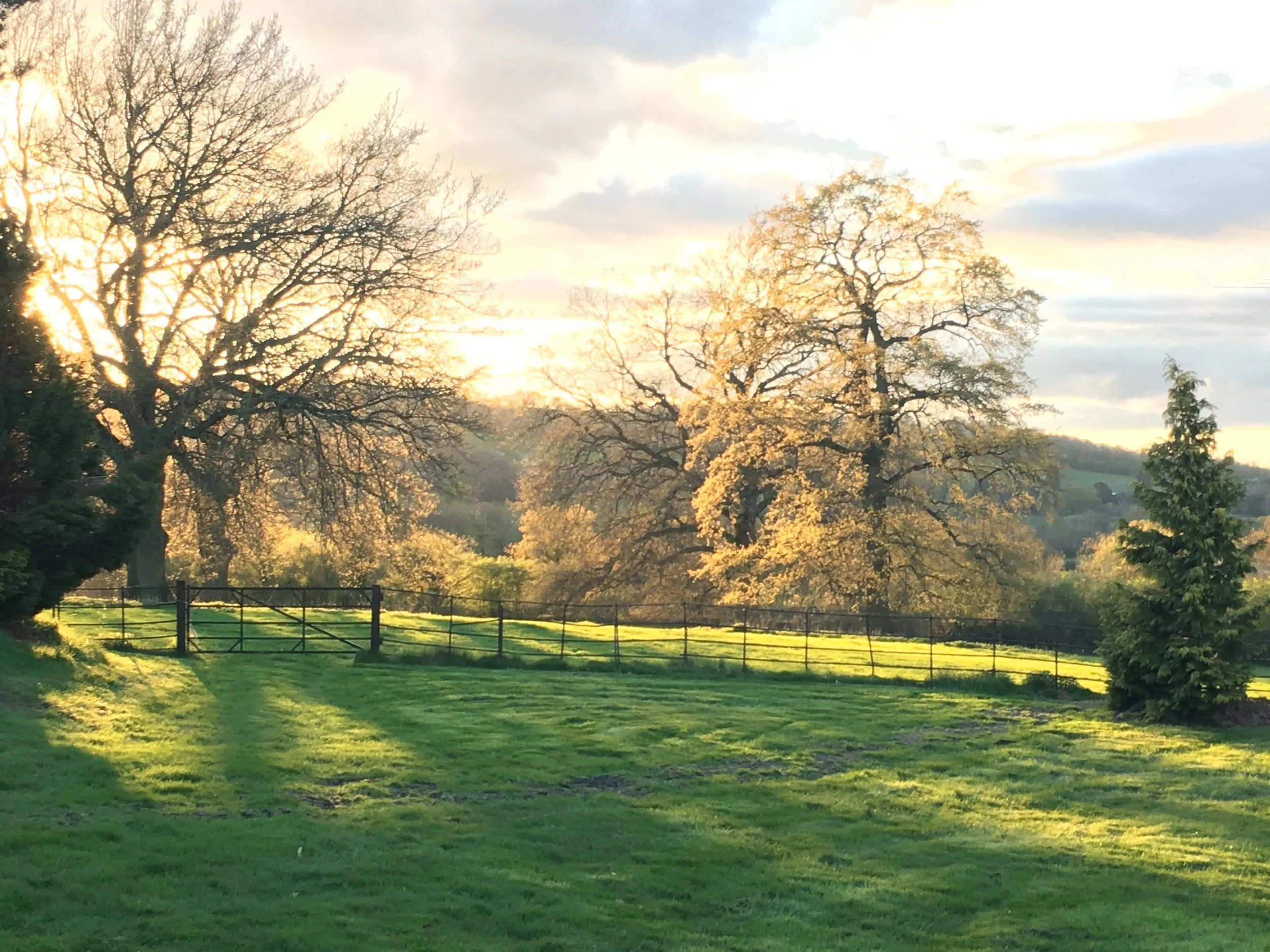 Winter in the Malverns: 5 Reasons This Is the Perfect Time to Escape