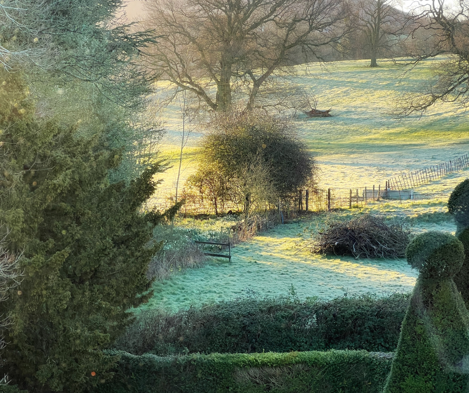 WINTER VIEW (Facebook Post).png