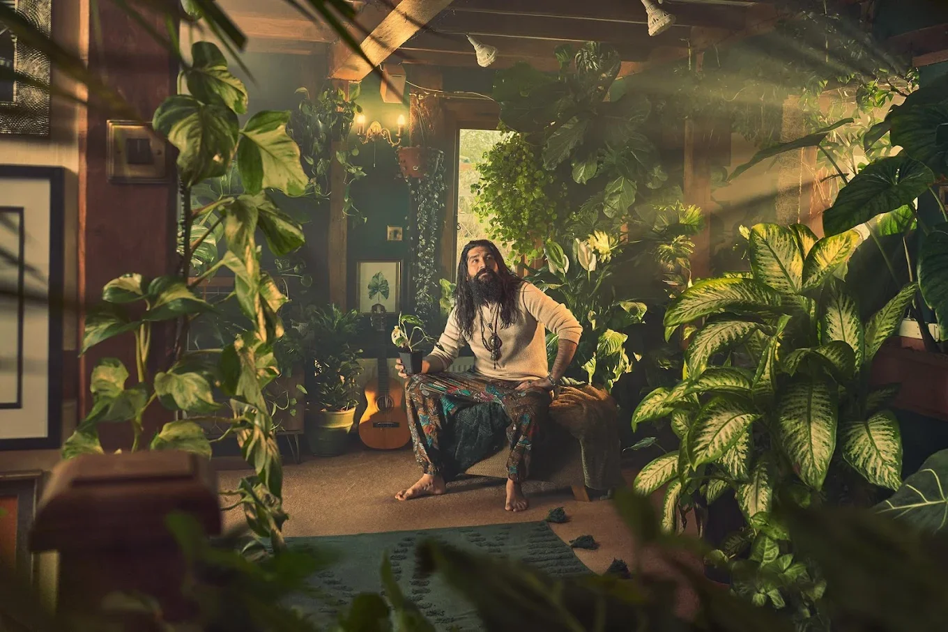 Top Three Counties Plant Shows, Nurseries &amp; Gardens