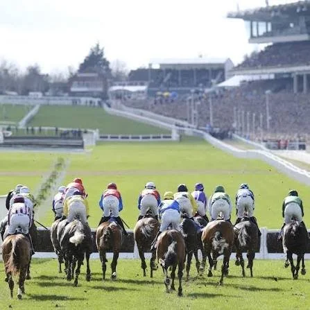 Where to Stay for the Cheltenham Festival: Why Racegoers Head for the Malverns