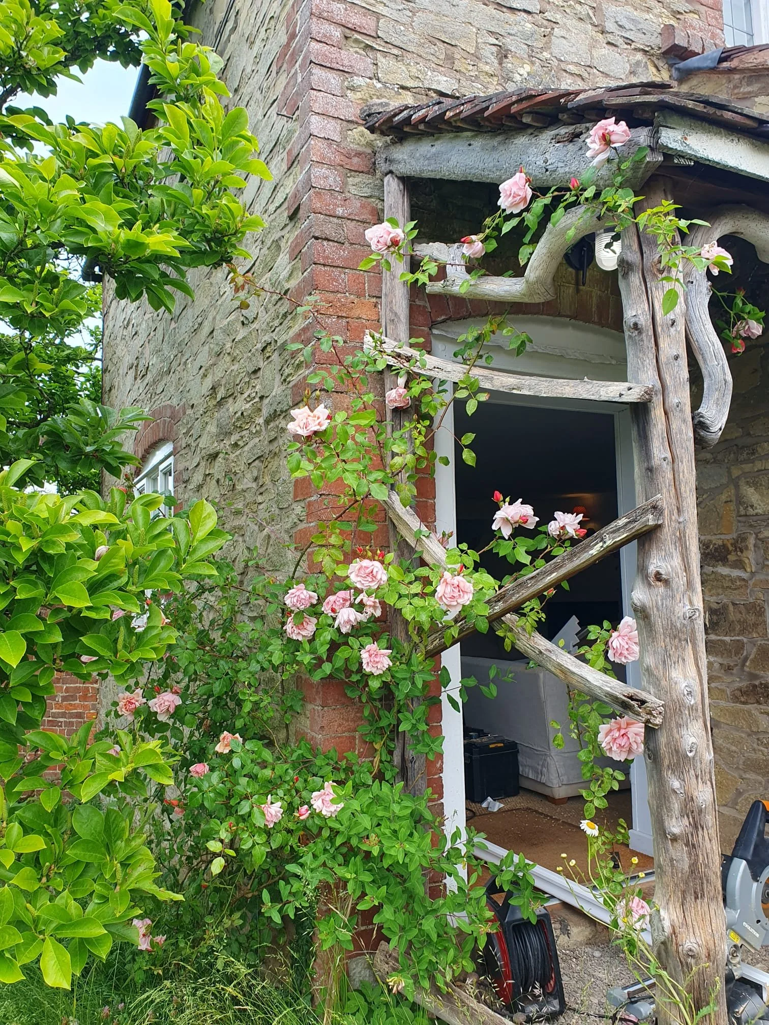 A doorway surrounded by roses