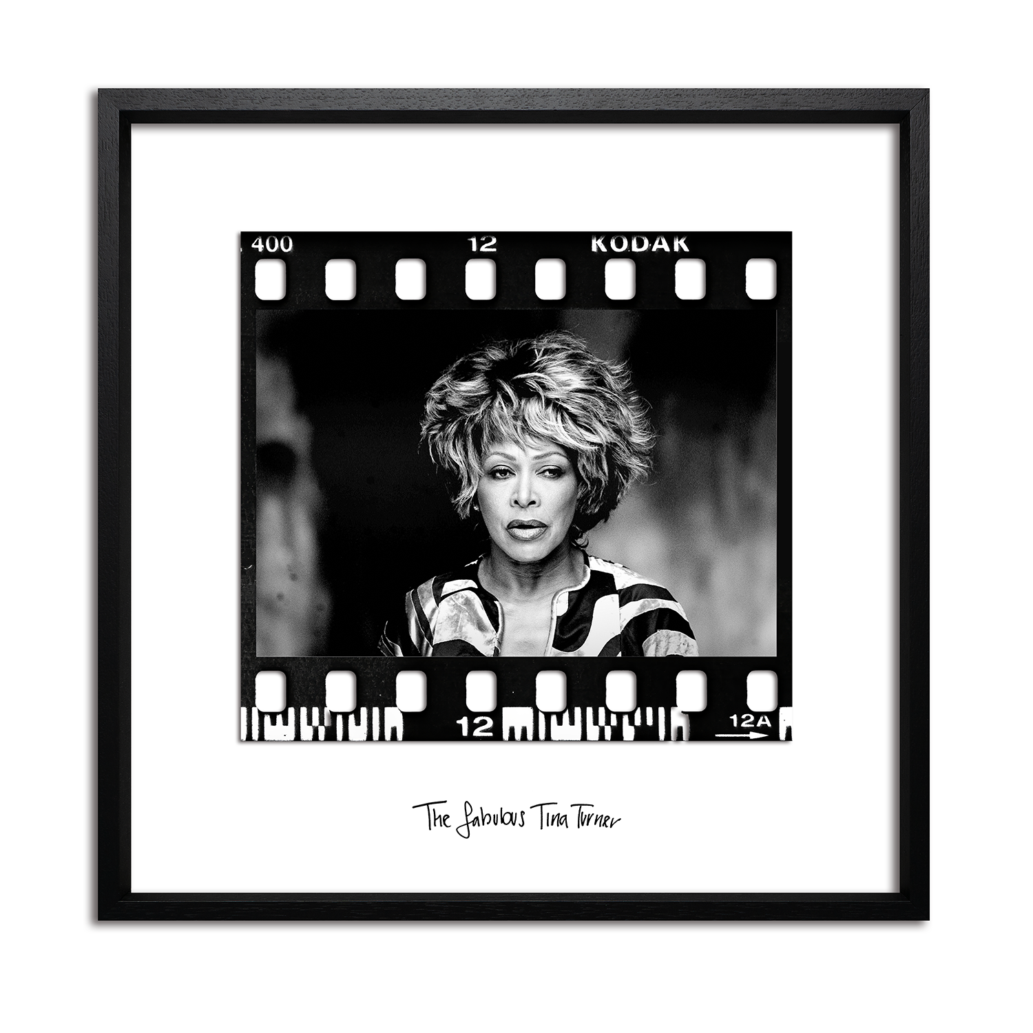 The Fabulous Tina Turner RGH-009.png