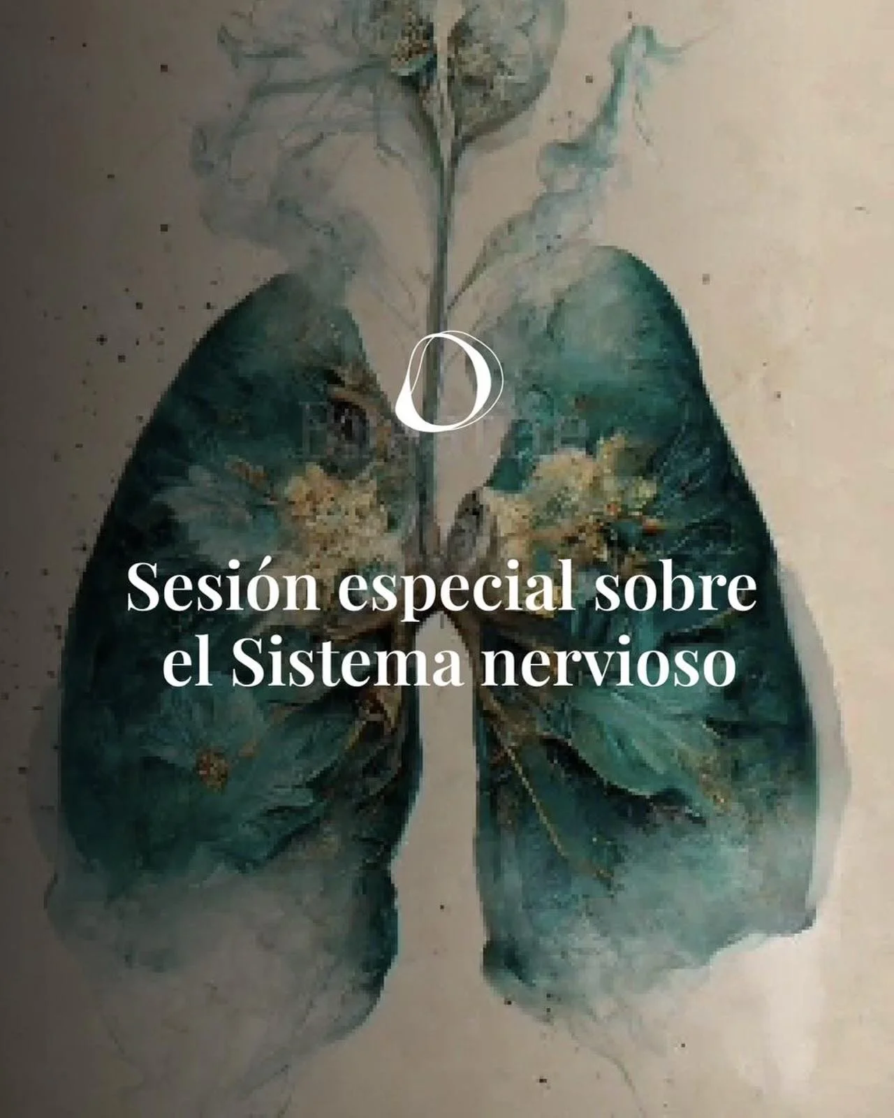 Reconecta con tu equilibrio a trav&eacute;s del movimiento consciente 🌿
&iquest;Alguna vez te has parado a escuchar c&oacute;mo se comunica tu cuerpo contigo? 

En el pr&oacute;ximo taller de Movisom, te invitamos a un viaje profundo hacia el centro