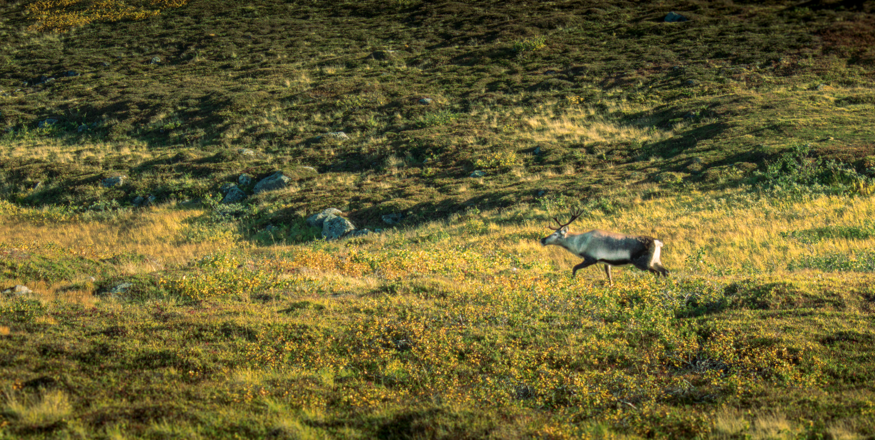 Bildschirmfoto 2026-01-30 um 12.32.54.png
