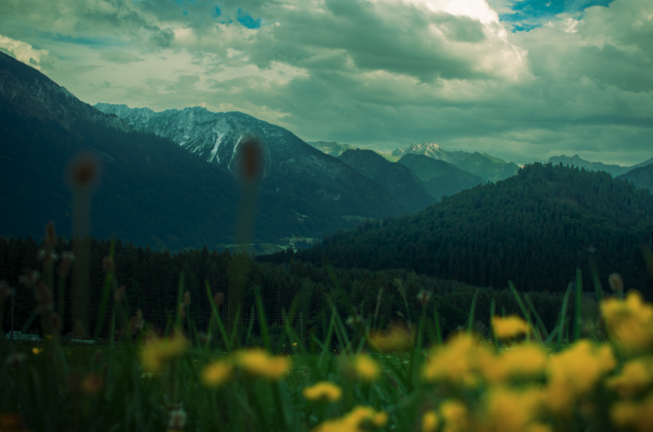 Bildschirmfoto 2026-01-29 um 09.20.25.png